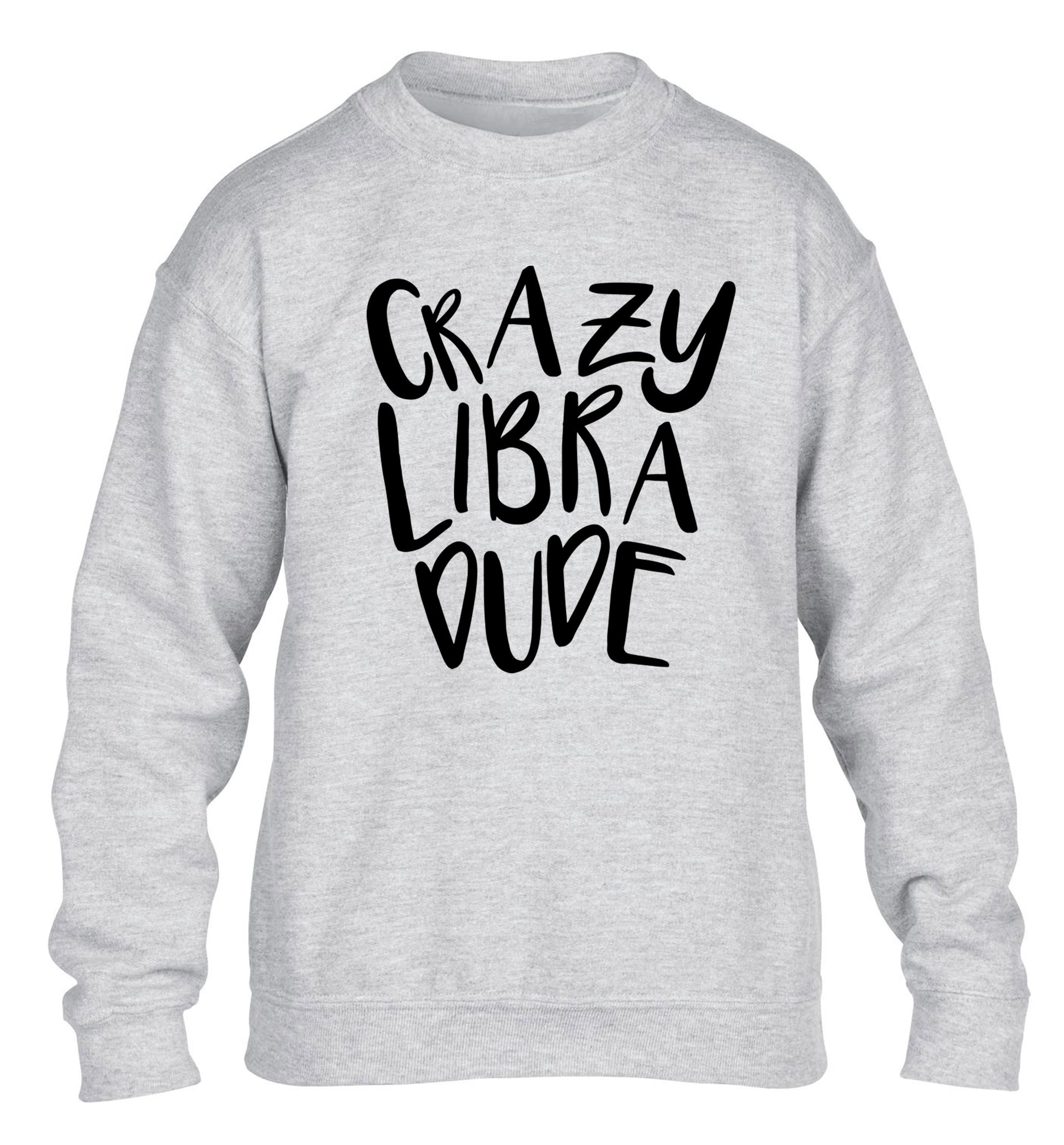 Crazy libra dude children's grey sweater 12-13 Years