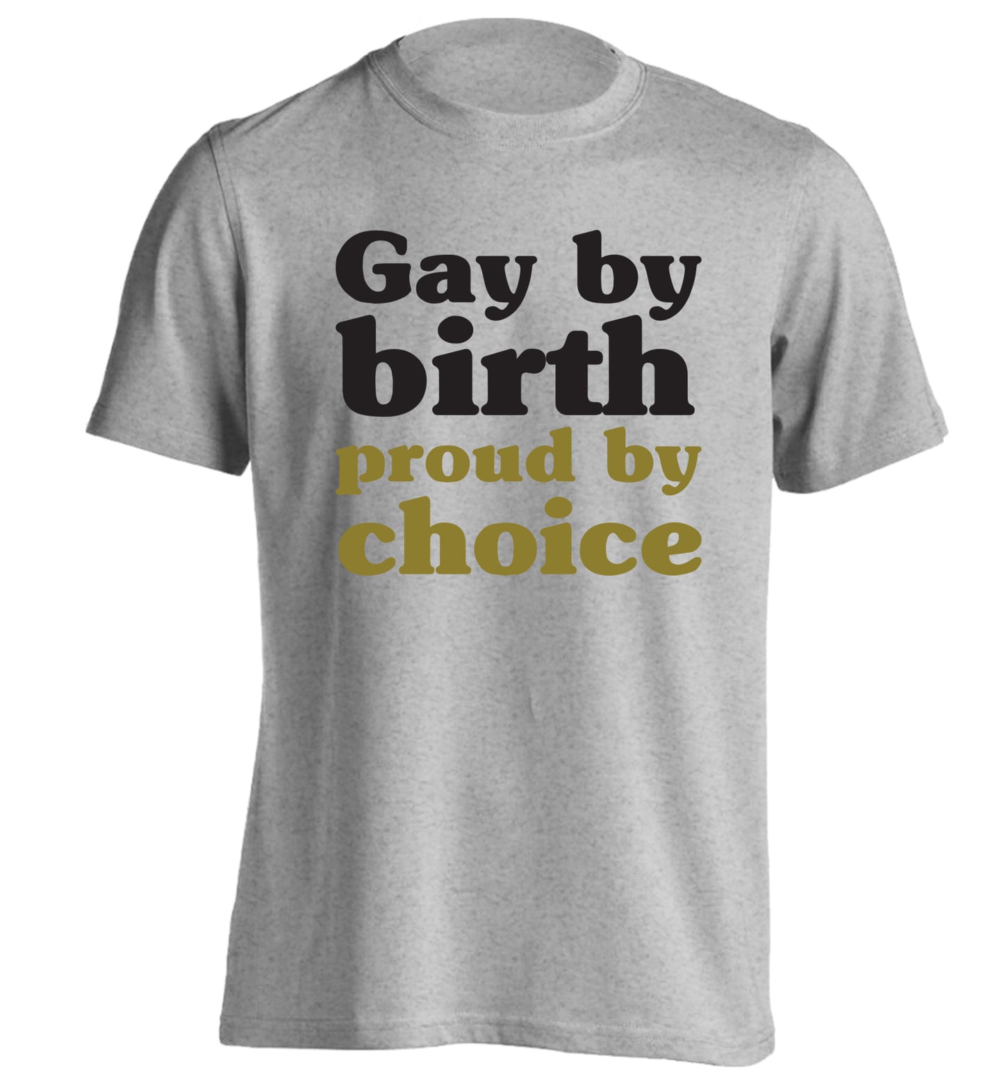 Gay by birth proud by choice adults unisex grey Tshirt 2XL
