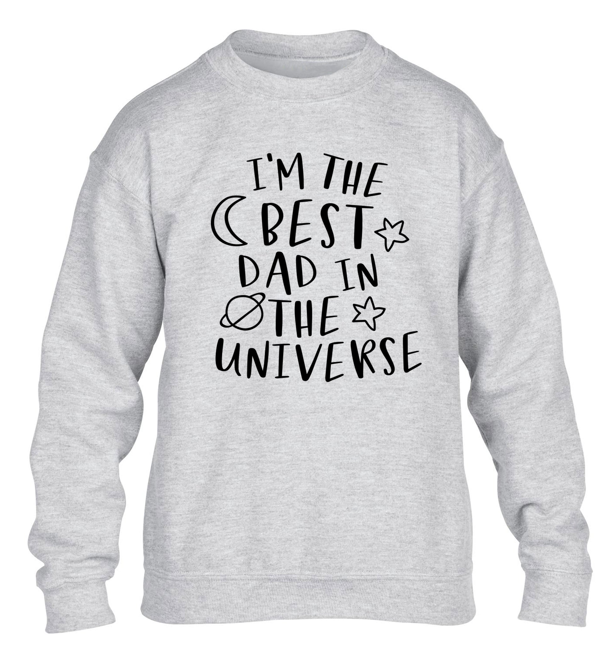 I'm the best dad in the universe children's grey sweater 12-13 Years