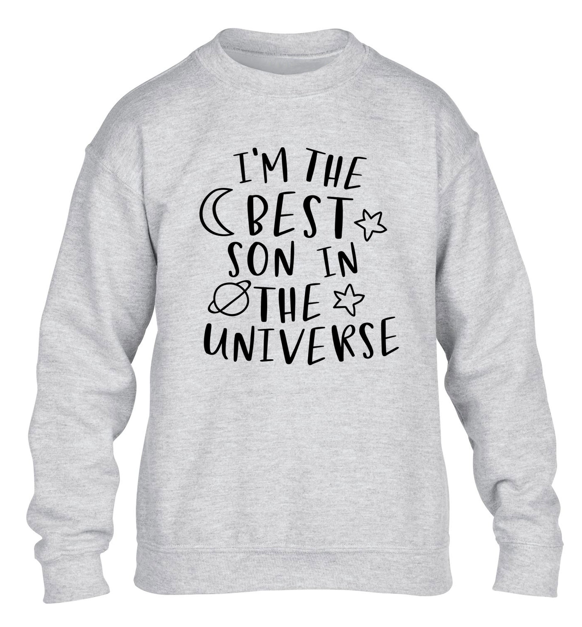 I'm the best son in the universe children's grey sweater 12-13 Years