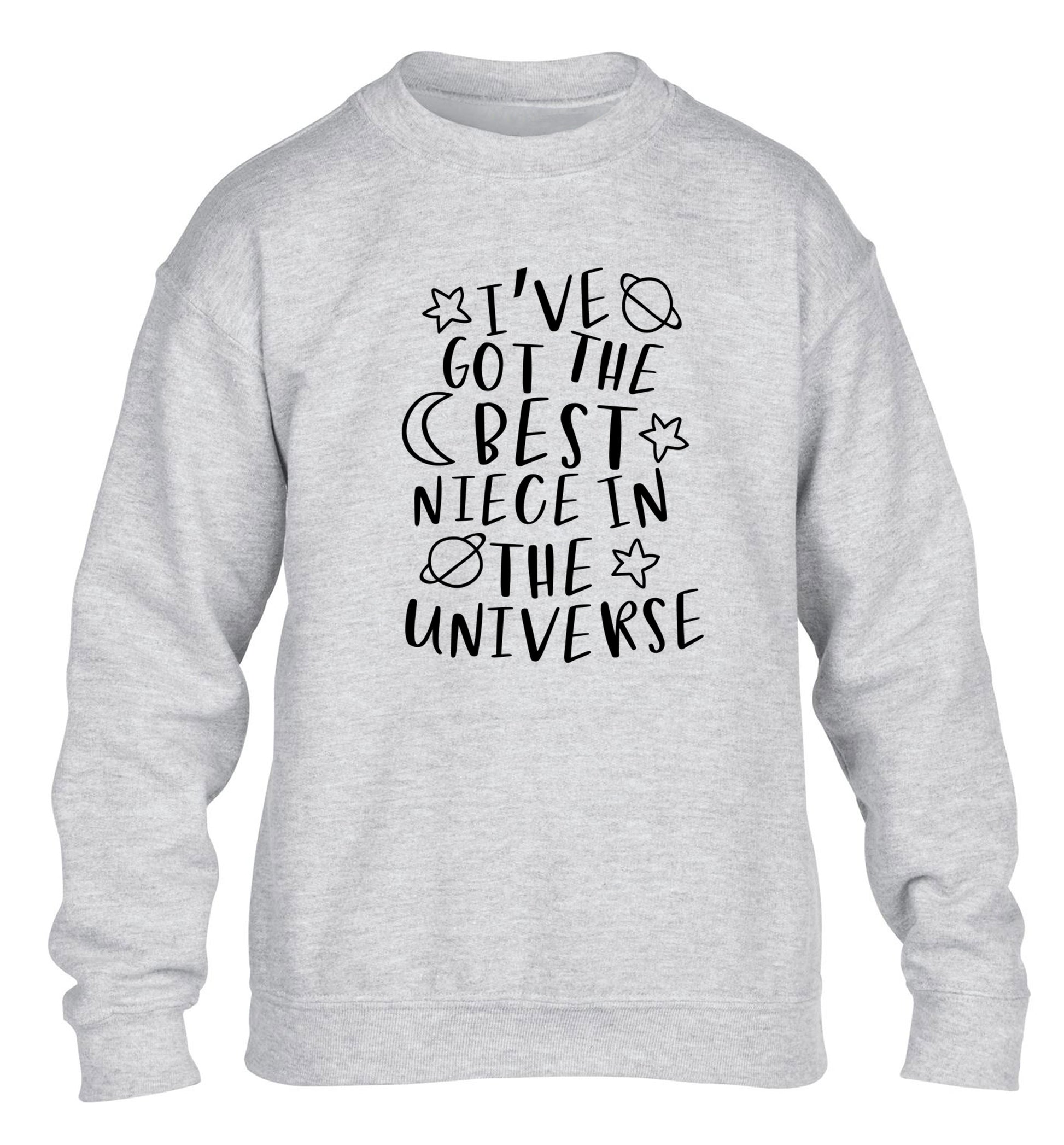 I've got the best niece in the universe children's grey sweater 12-13 Years