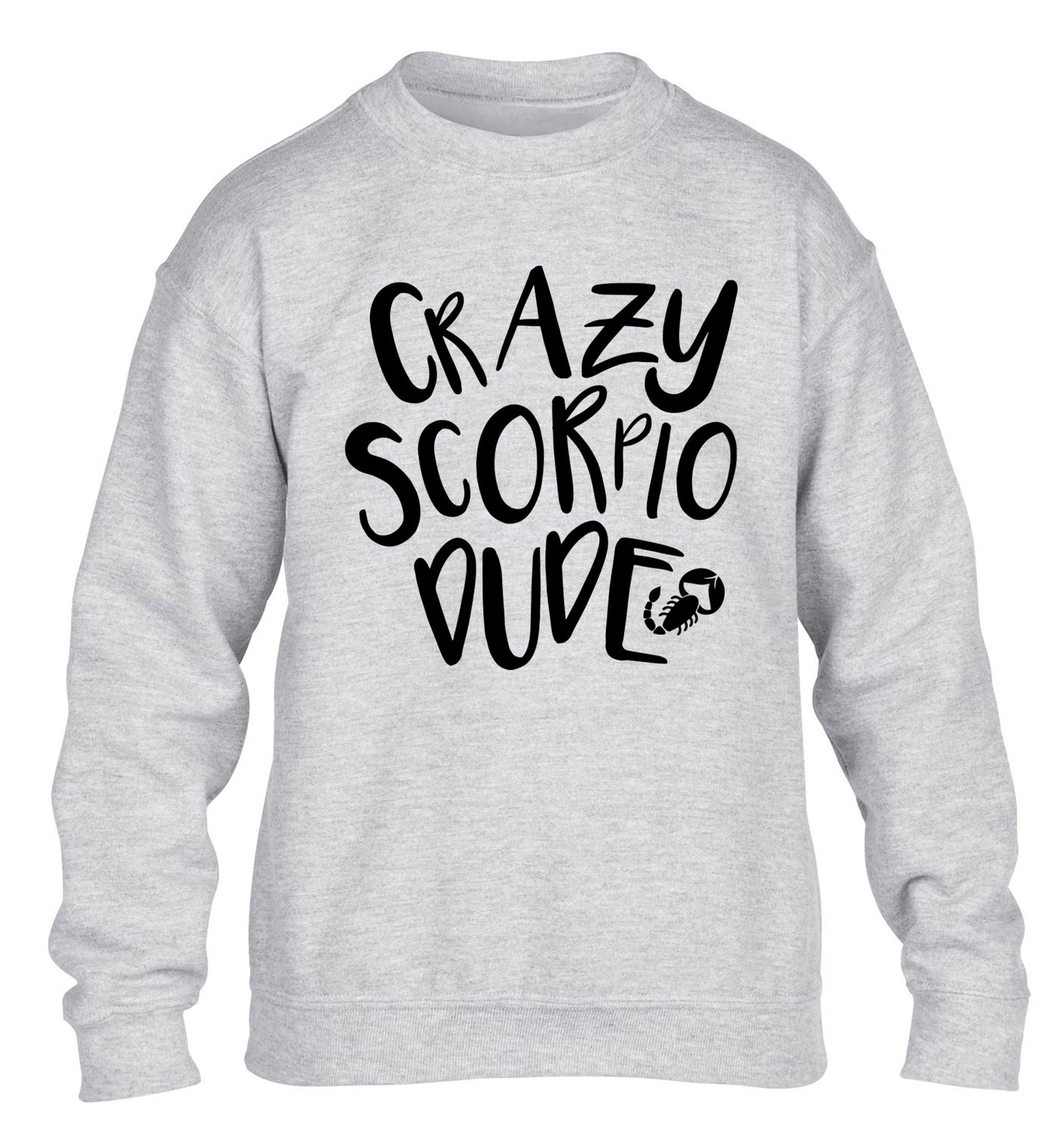 Crazy scorpio dude children's grey sweater 12-13 Years