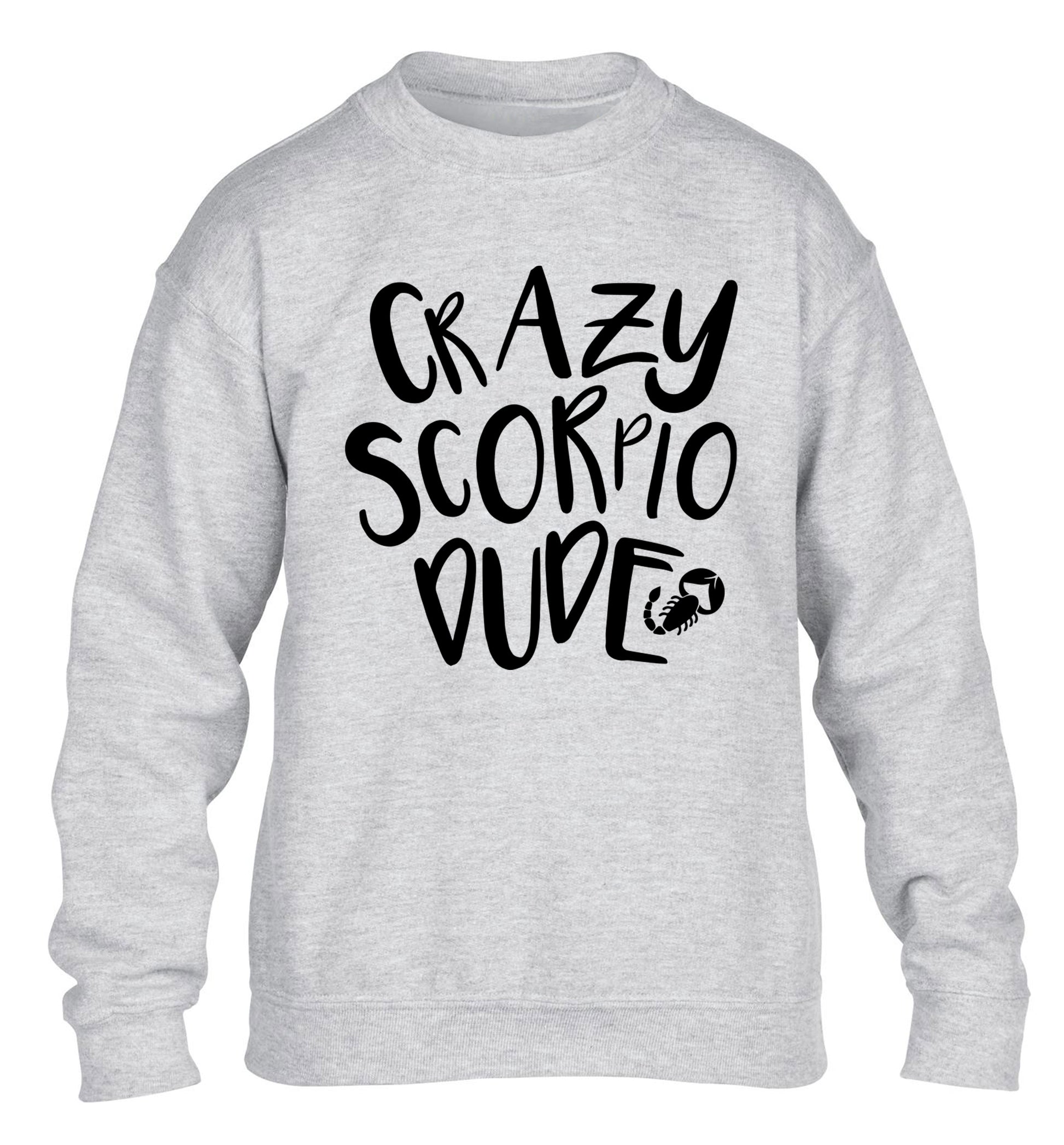Crazy scorpio dude children's grey sweater 12-13 Years