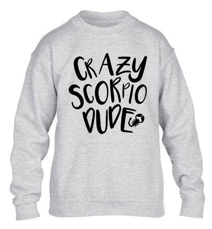Crazy scorpio dude children's grey sweater 12-13 Years
