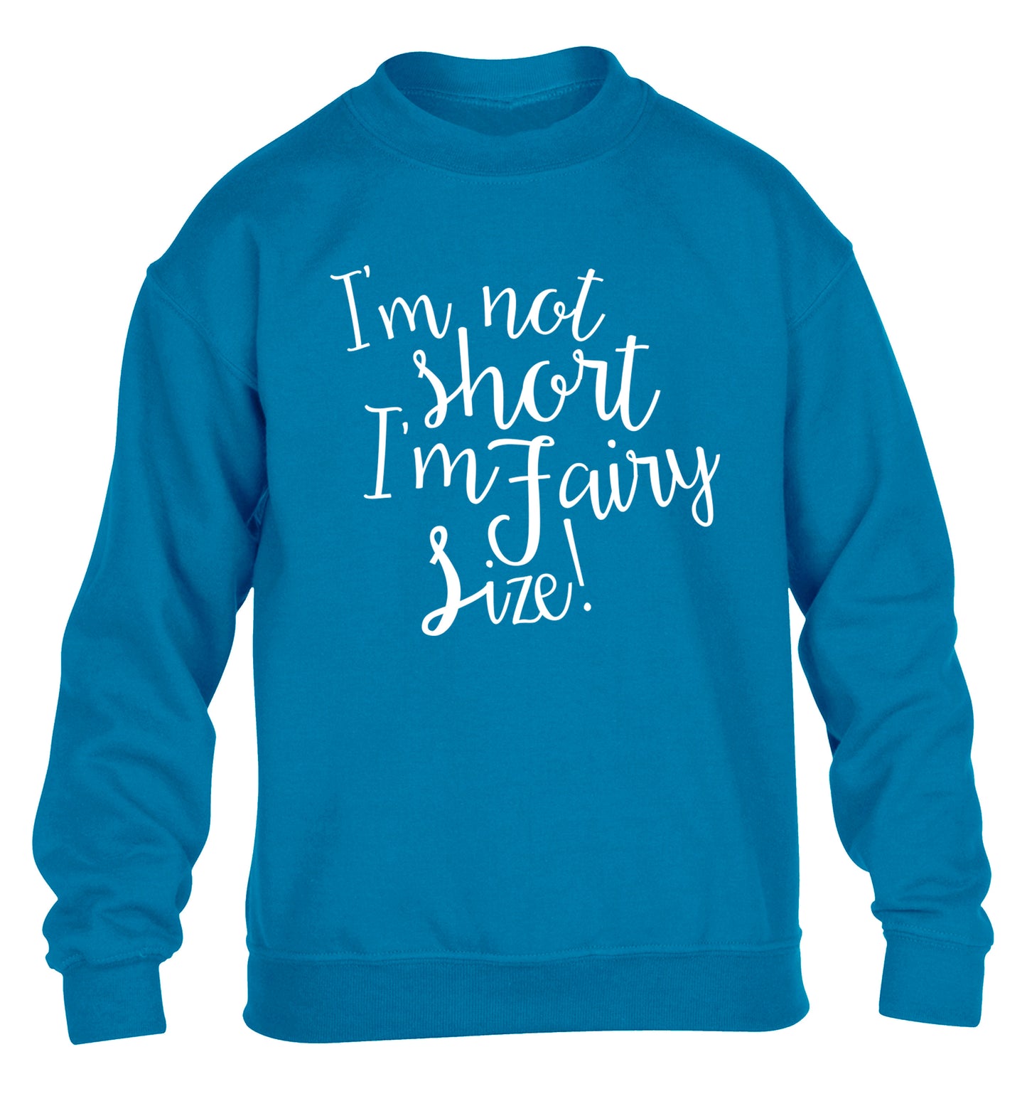 I'm not short I'm fairy sized! children's blue sweater 12-13 Years