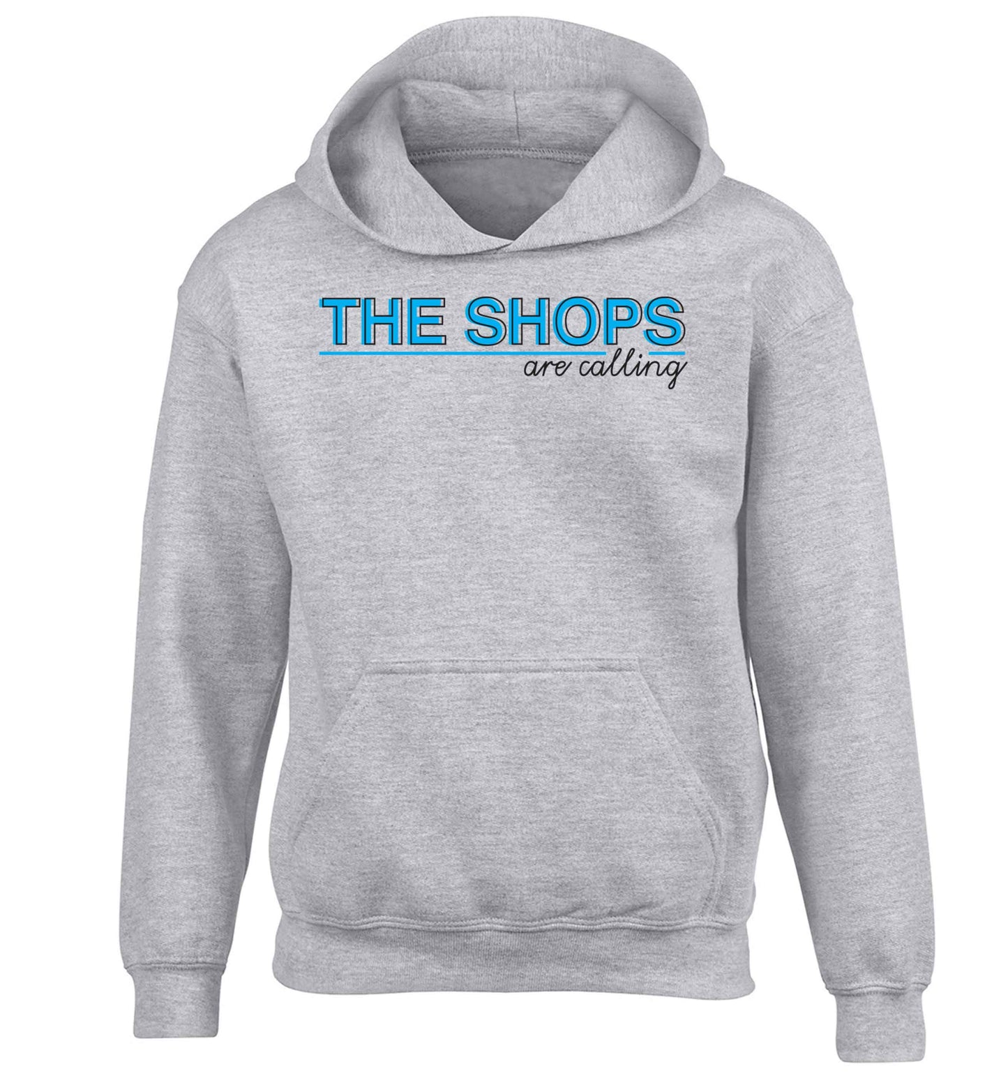 The shops are calling children's grey hoodie 12-13 Years
