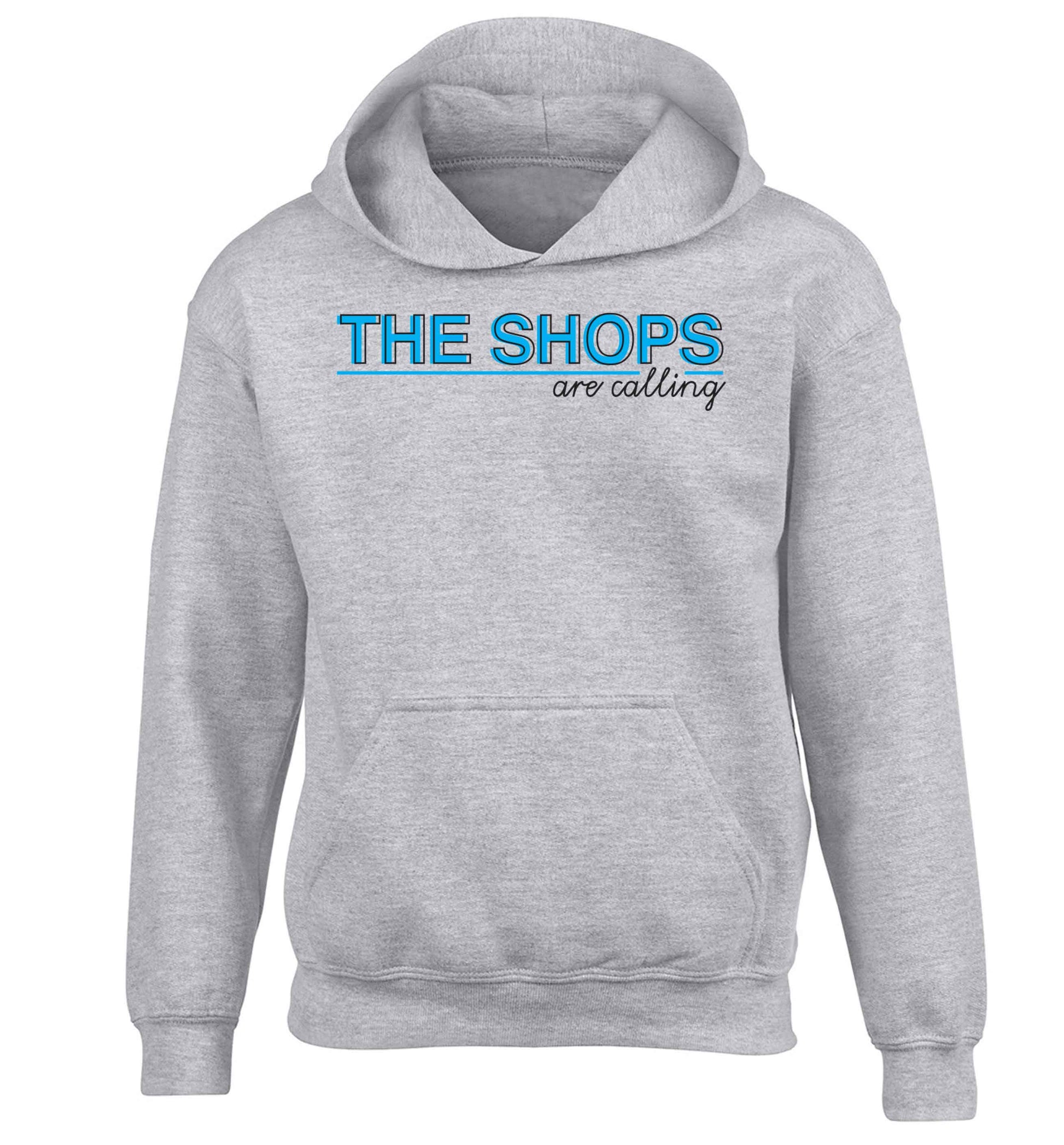 The shops are calling children's grey hoodie 12-13 Years