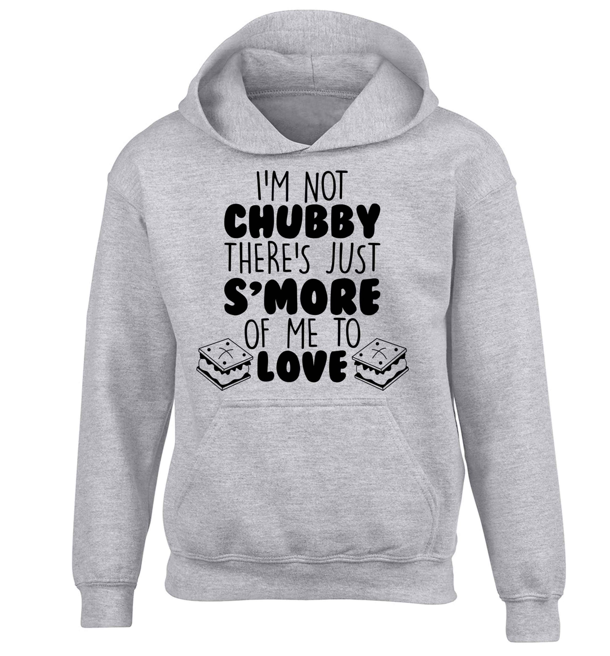 I'm not chubby there's just s'more of me to love children's grey hoodie 12-13 Years
