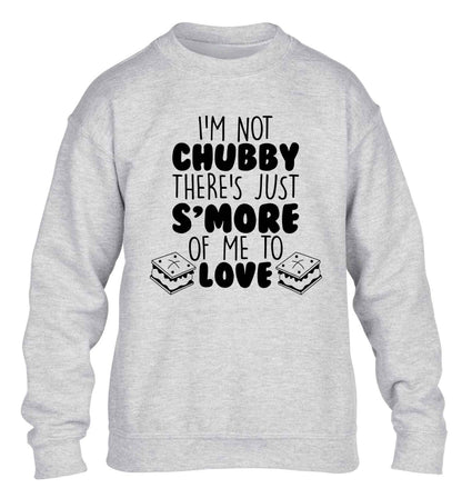 I'm not chubby there's just s'more of me to love children's grey sweater 12-13 Years
