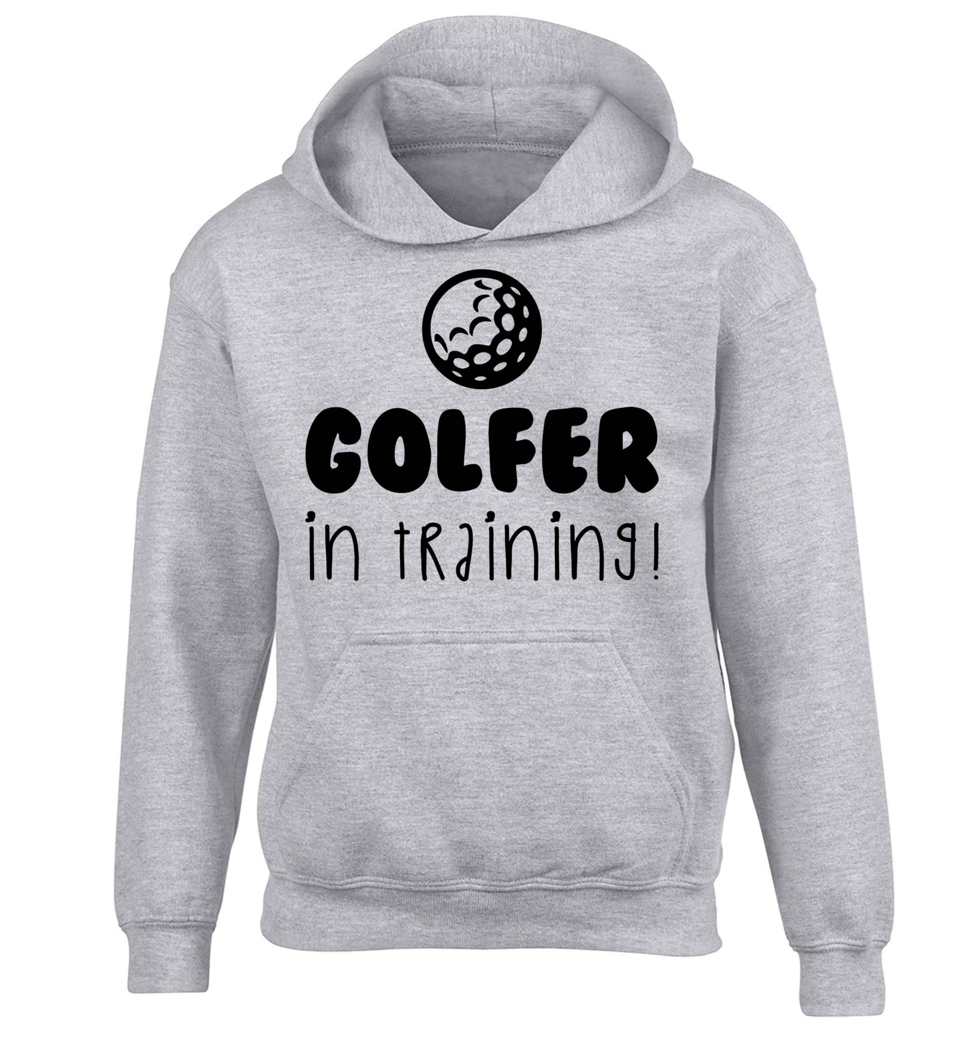 Golfer in training children's grey hoodie 12-13 Years