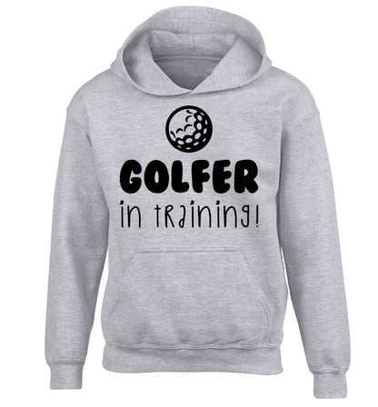 Golfer in training children's grey hoodie 12-13 Years
