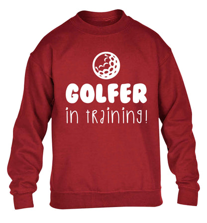 Golfer in training children's grey sweater 12-13 Years