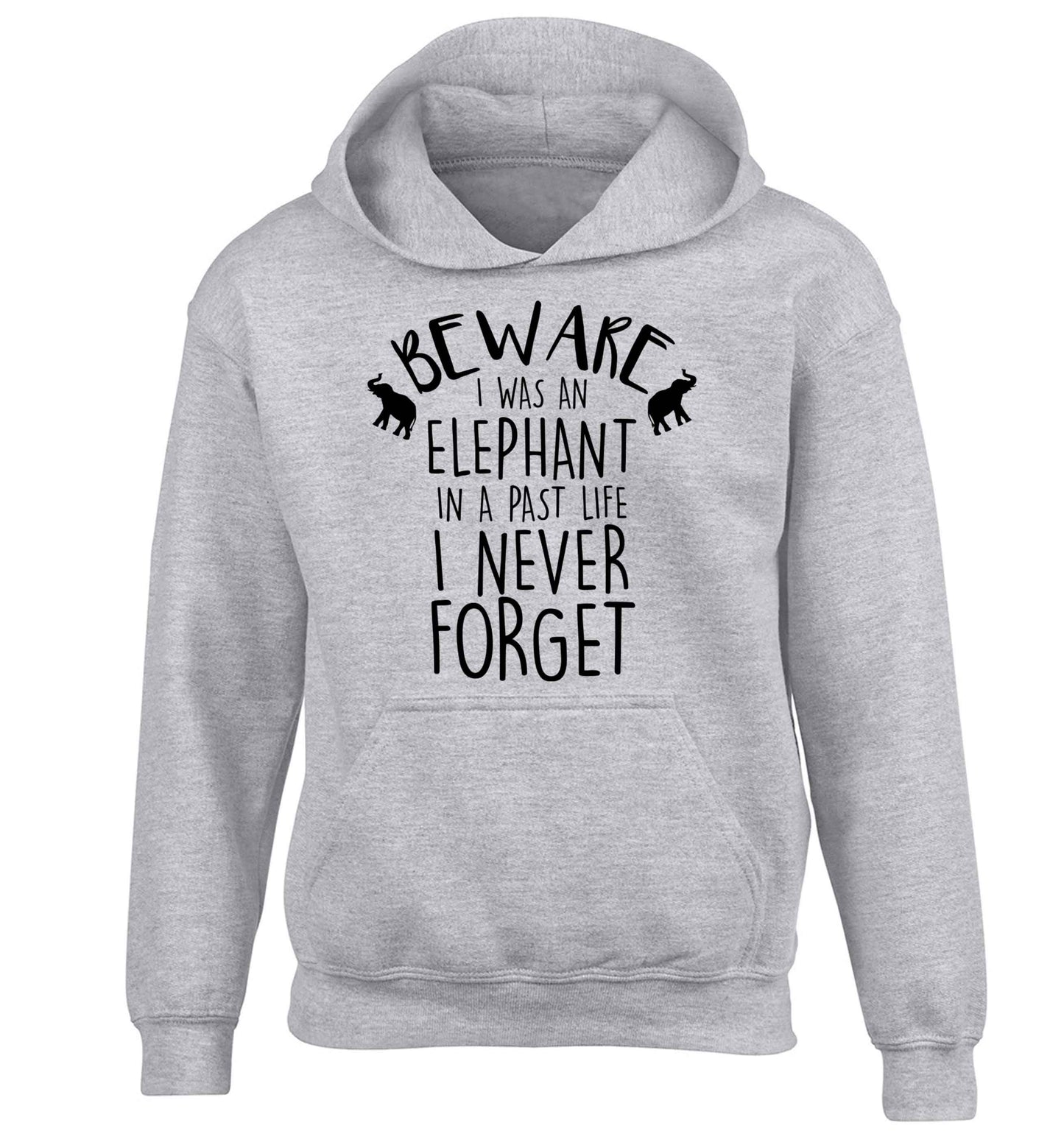 Beware I was an elephant in my past life I never forget children's grey hoodie 12-13 Years