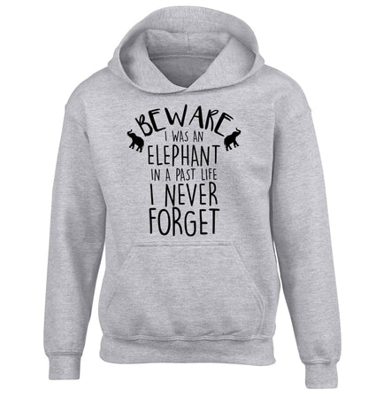 Beware I was an elephant in my past life I never forget children's grey hoodie 12-13 Years