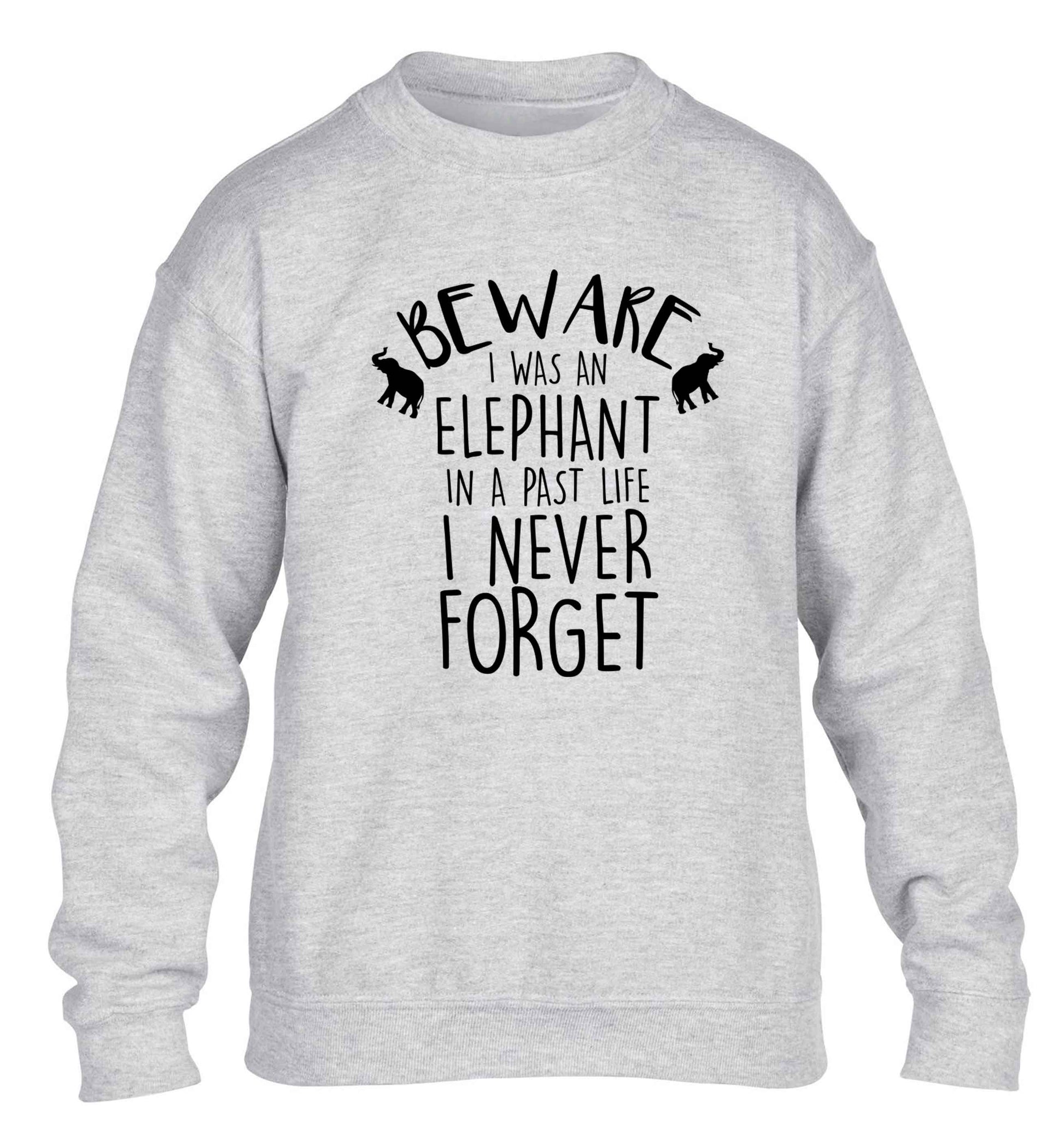 Beware I was an elephant in my past life I never forget children's grey sweater 12-13 Years