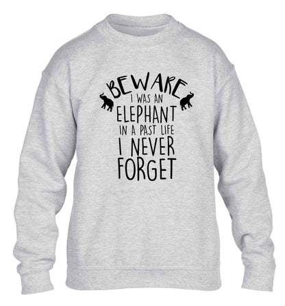 Beware I was an elephant in my past life I never forget children's grey sweater 12-13 Years