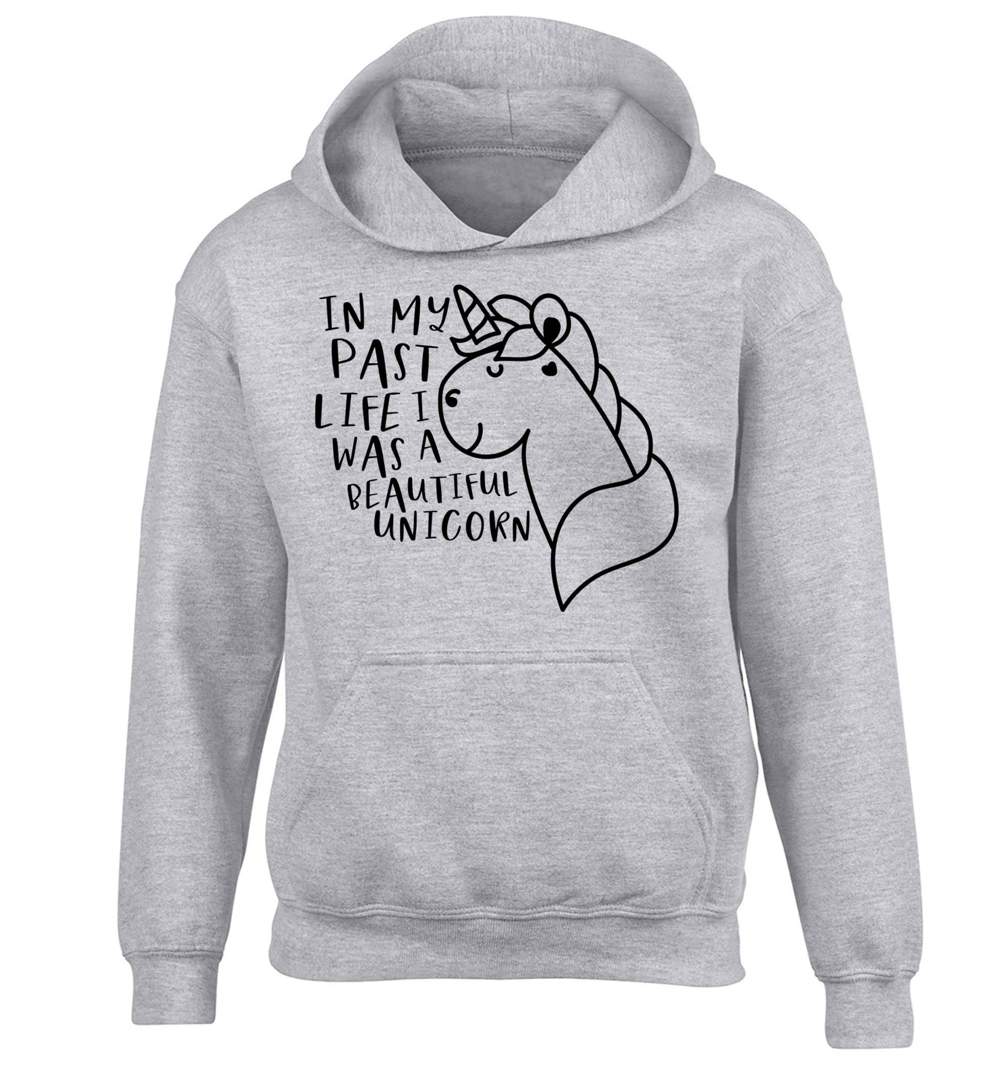 In my past life I was a beautiful unicorn children's grey hoodie 12-13 Years