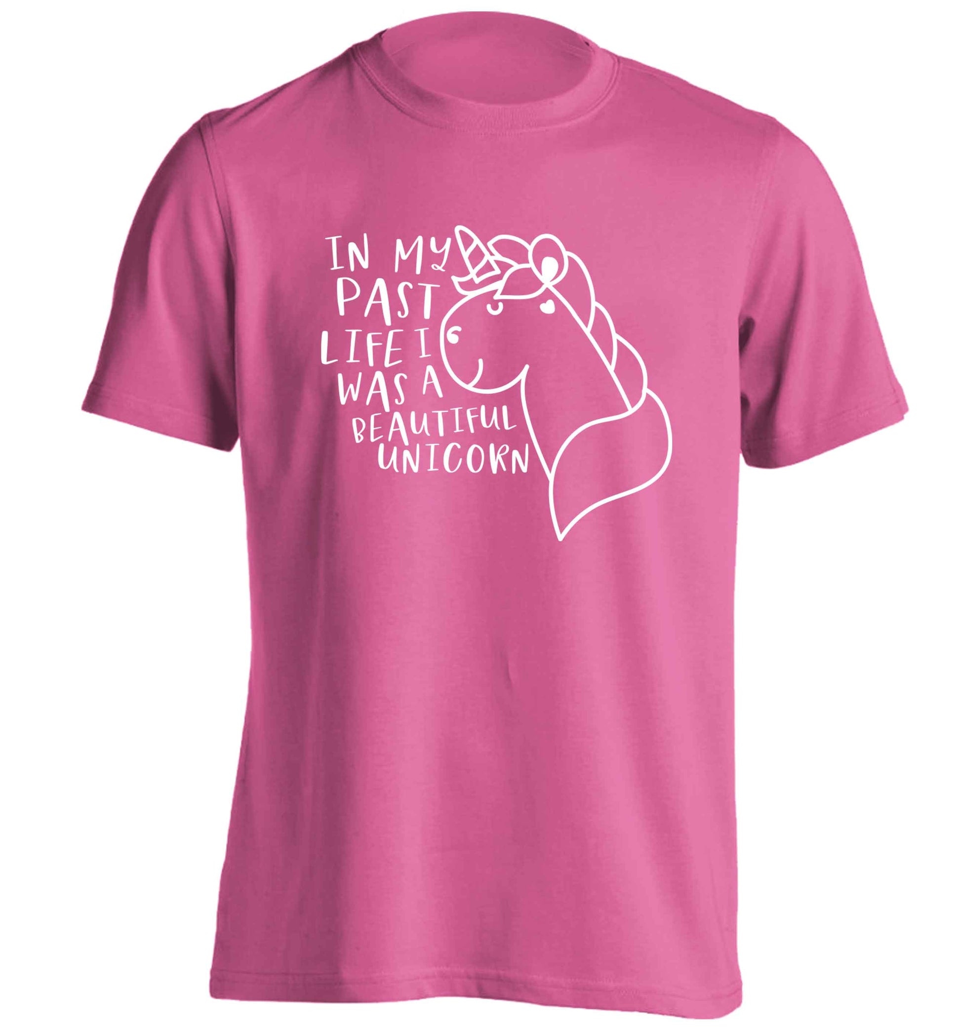 In my past life I was a beautiful unicorn adults unisex pink Tshirt 2XL