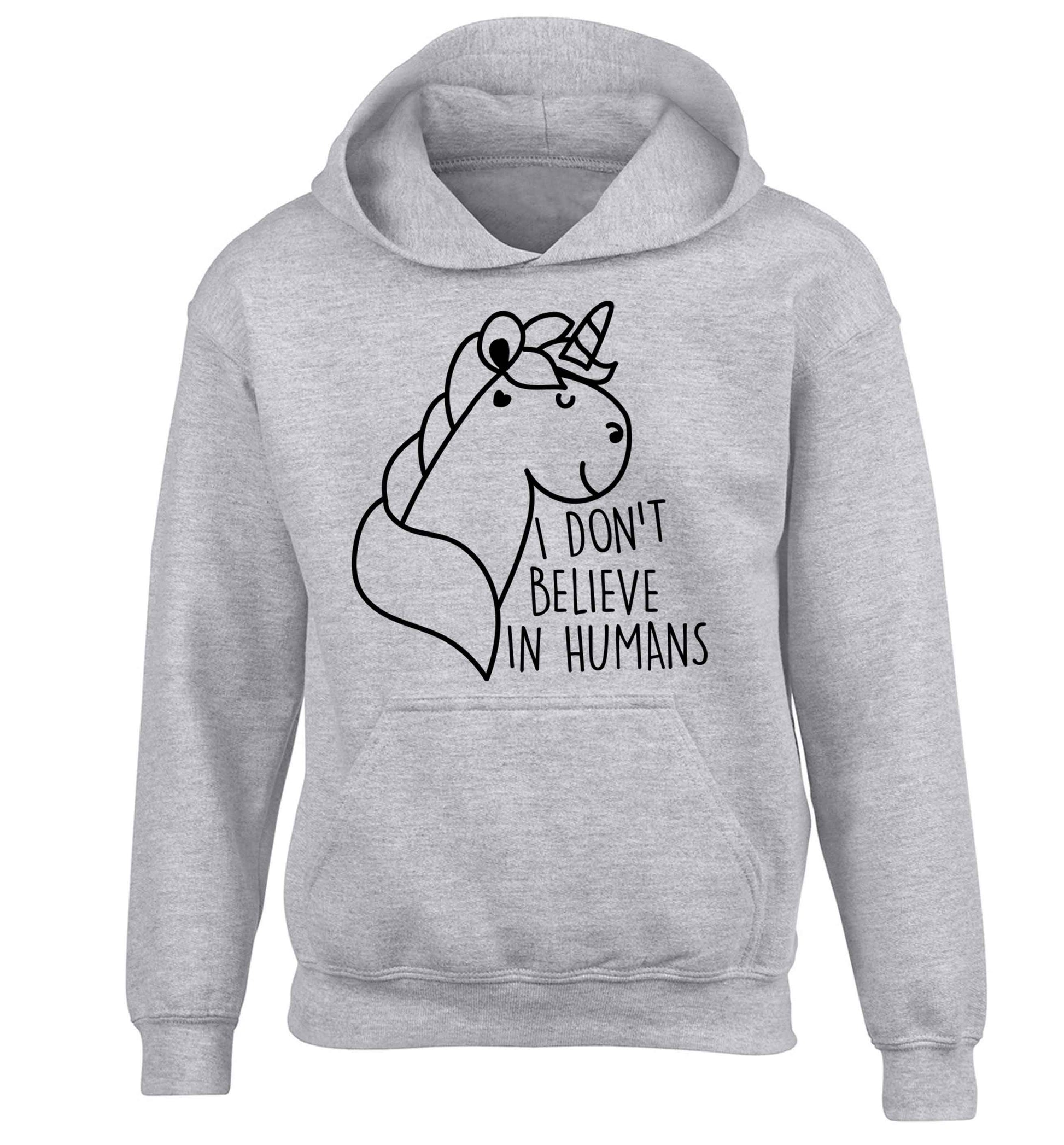 I don't believe in humans children's grey hoodie 12-13 Years