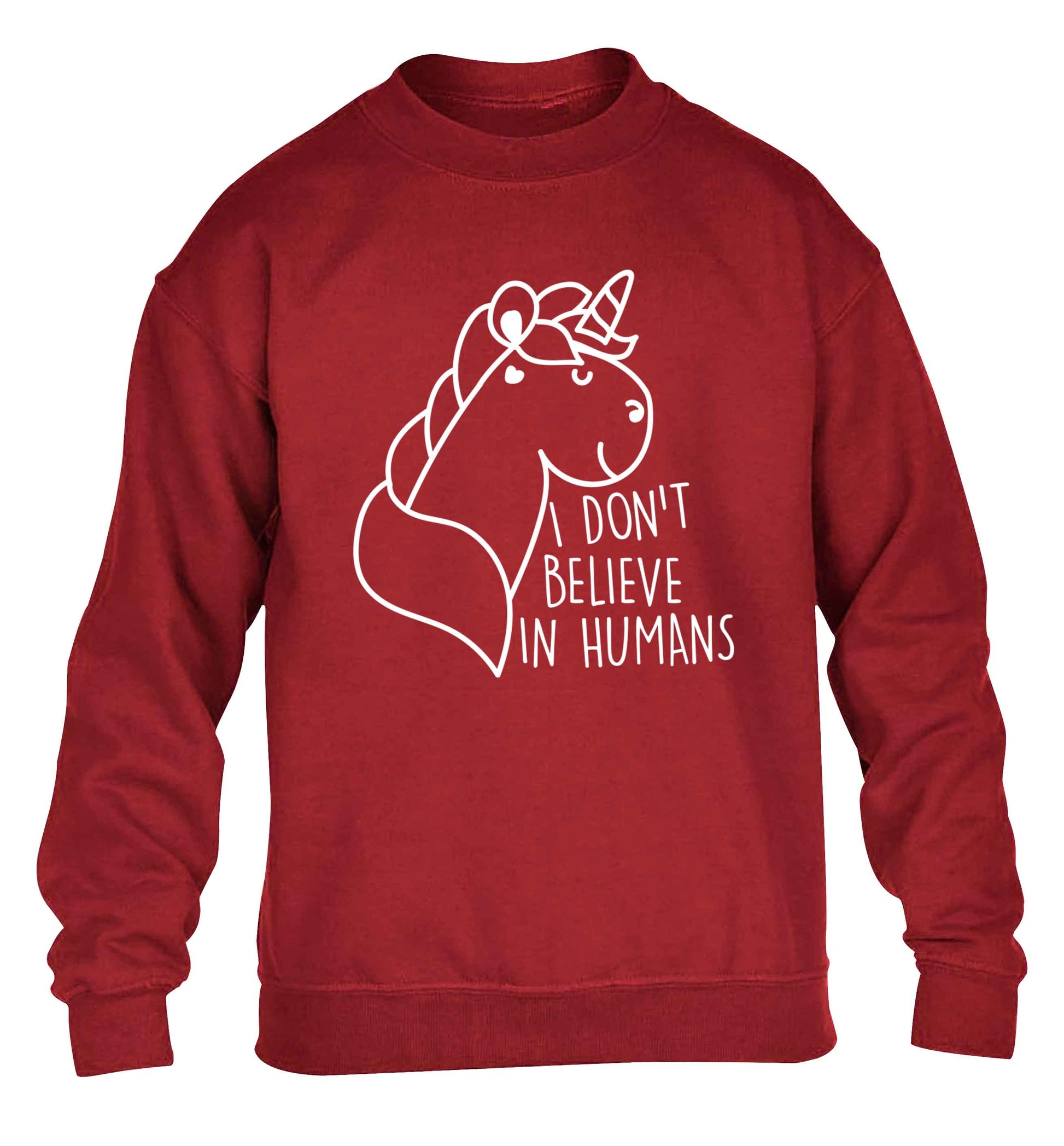 I don't believe in humans children's grey sweater 12-13 Years