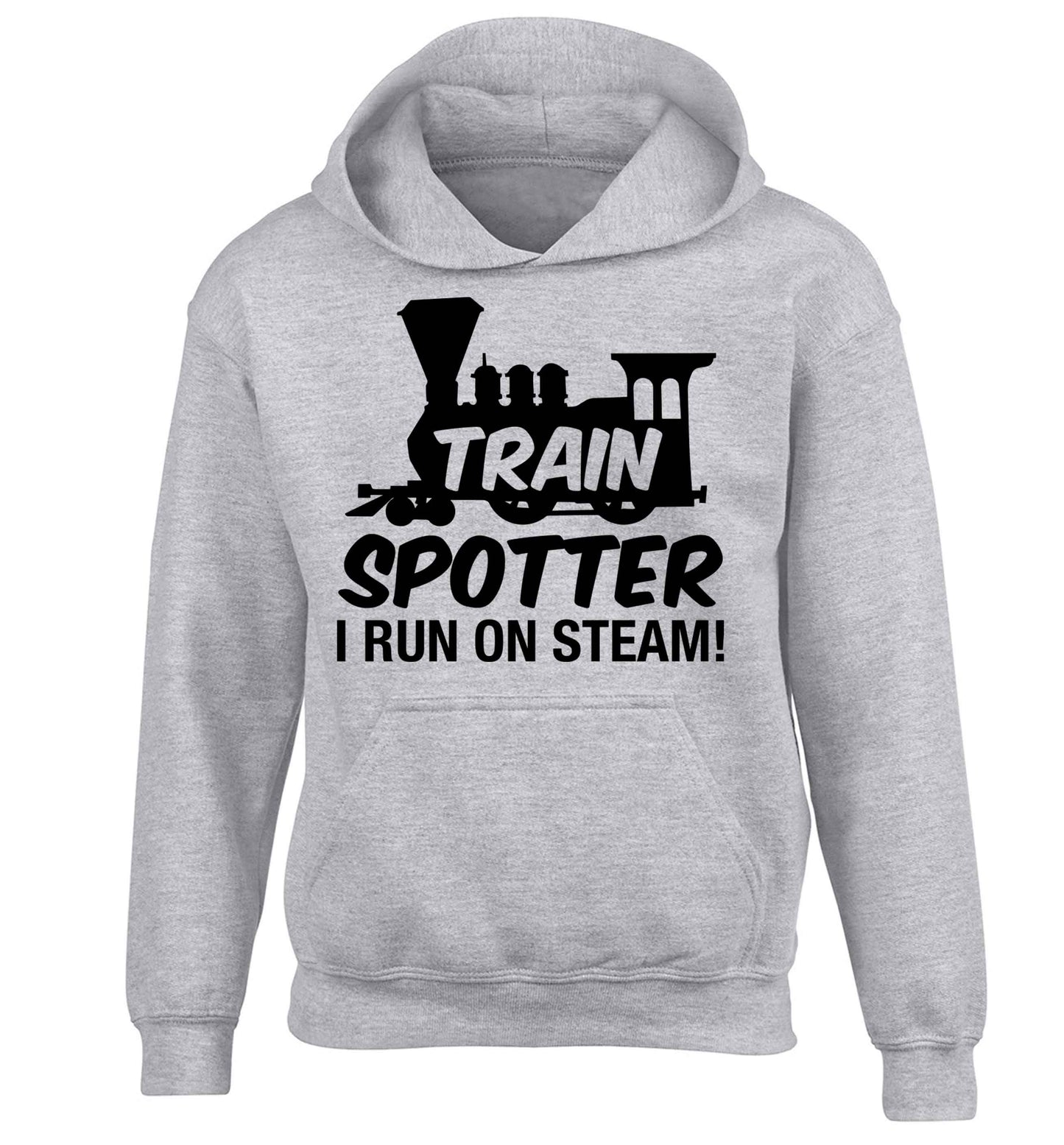 Train spotter I run on steam children's grey hoodie 12-13 Years