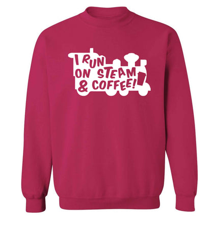 I run on steam and coffee Adult's unisex pink Sweater 2XL