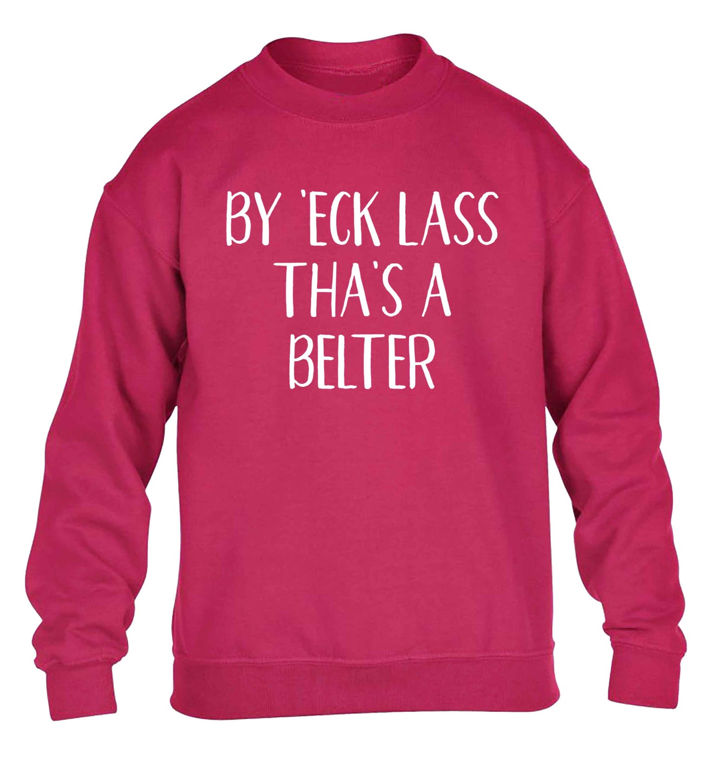 Be 'eck lass tha's a belter children's pink sweater 12-13 Years