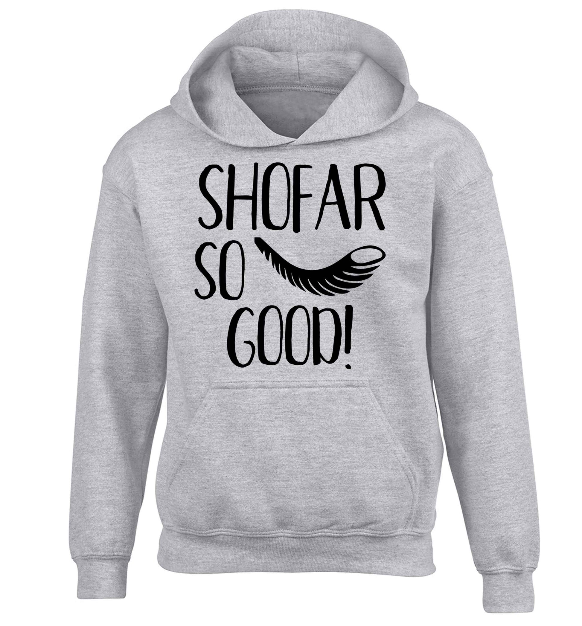 Shofar so good! children's grey hoodie 12-13 Years