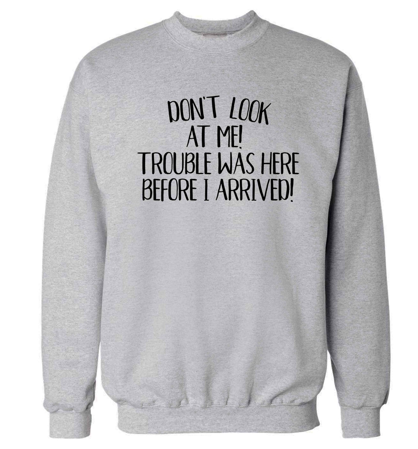 Don't look at me, trouble was here before I arrived! Adult's unisex grey Sweater 2XL