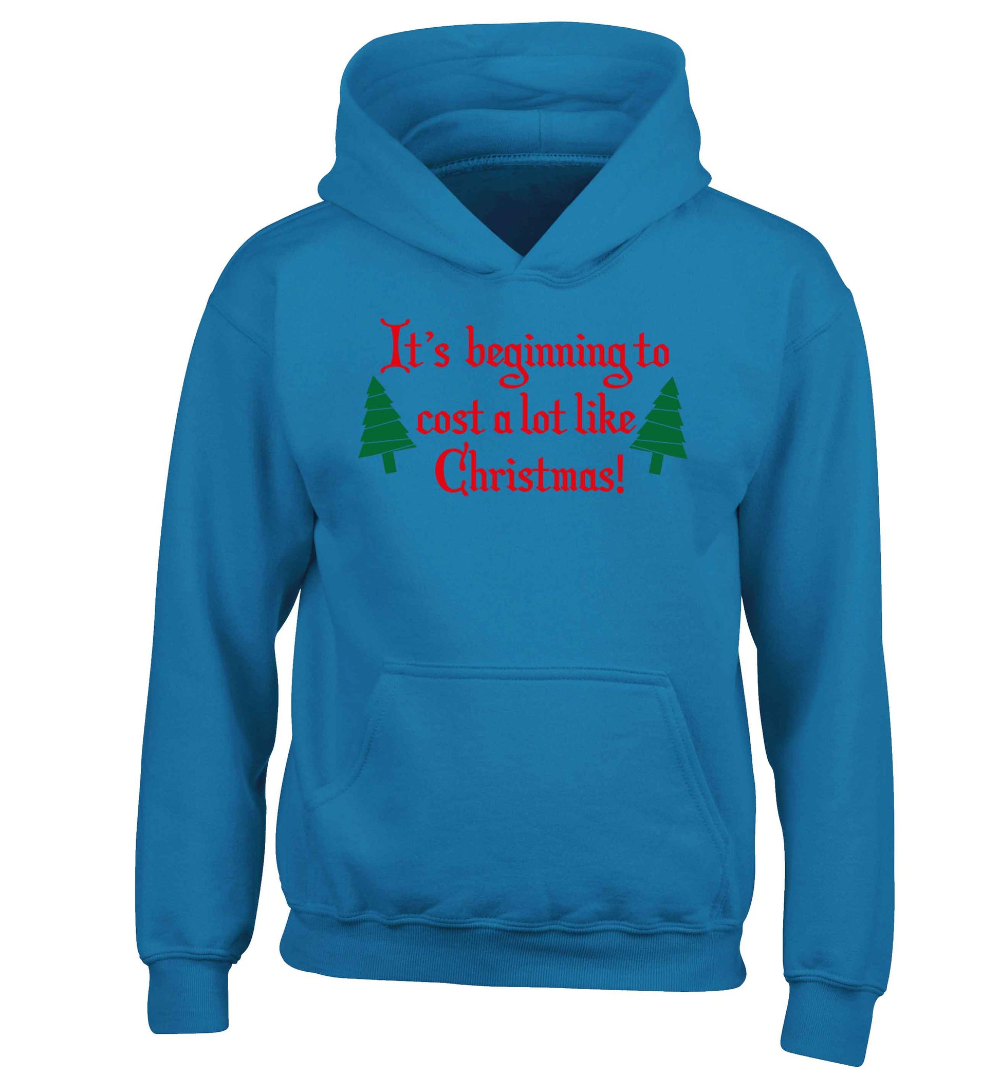 It's beginning to cost a lot like Christmas children's blue hoodie 12-13 Years