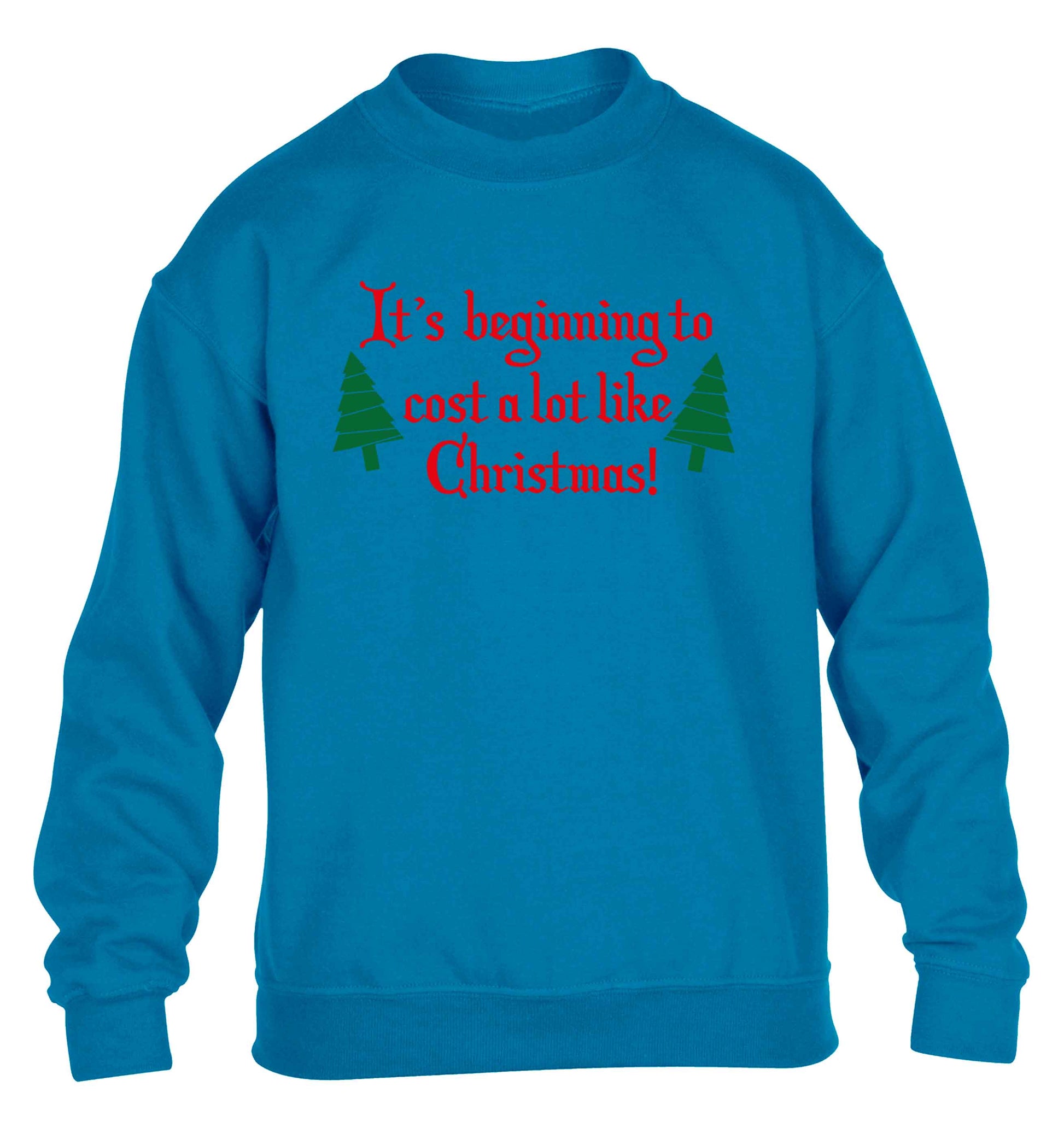 It's beginning to cost a lot like Christmas children's blue sweater 12-13 Years