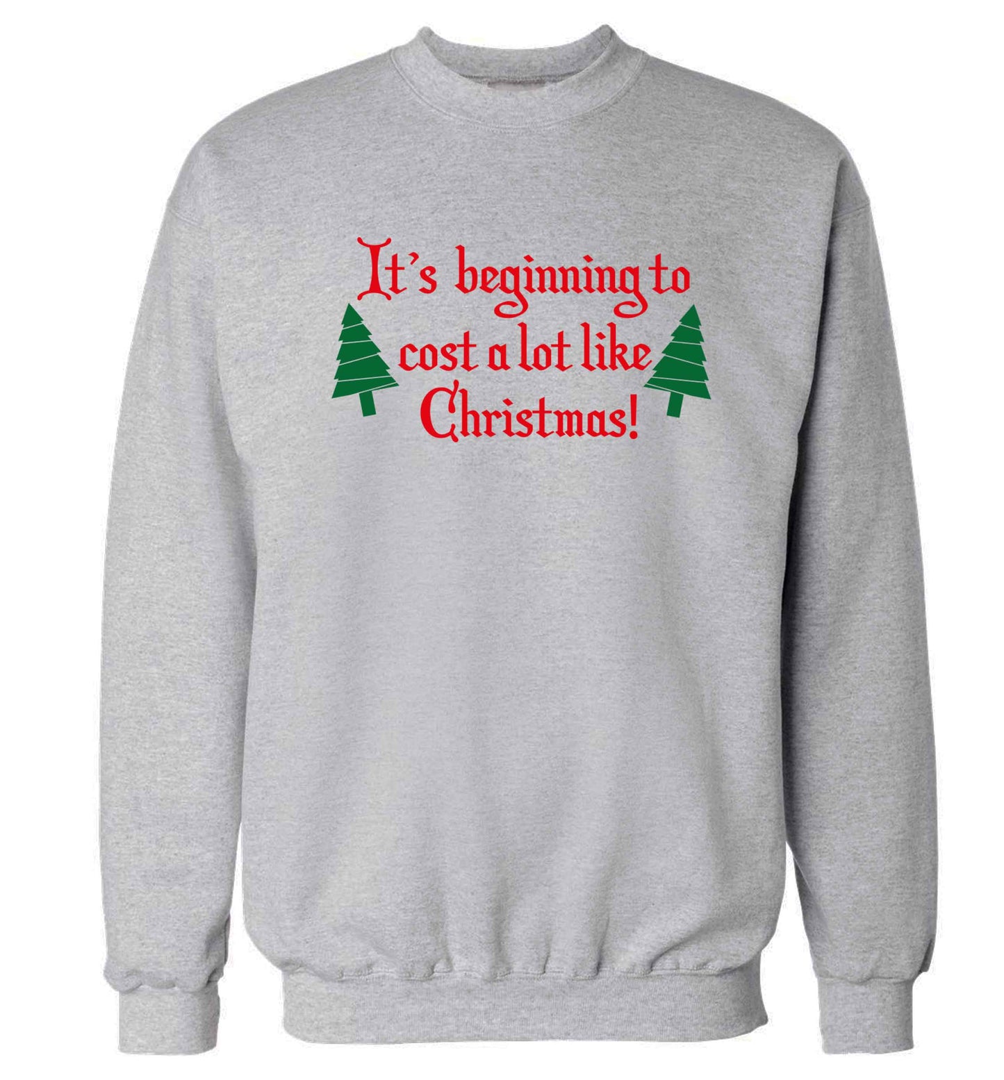 It's beginning to cost a lot like Christmas Adult's unisex grey Sweater 2XL
