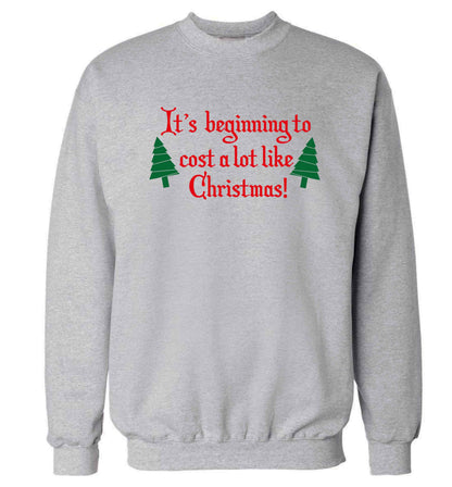 It's beginning to cost a lot like Christmas Adult's unisex grey Sweater 2XL