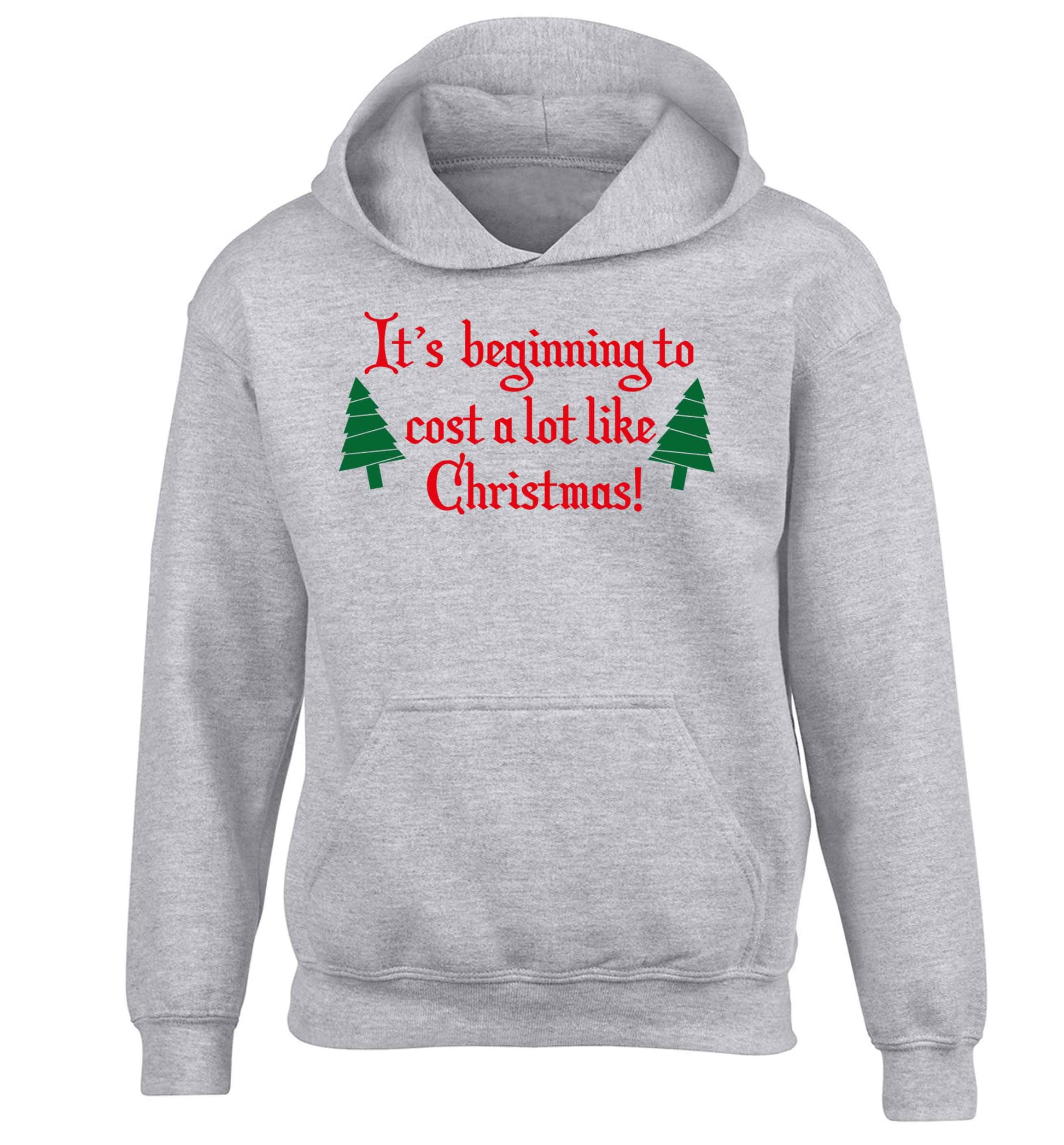 It's beginning to cost a lot like Christmas children's grey hoodie 12-13 Years