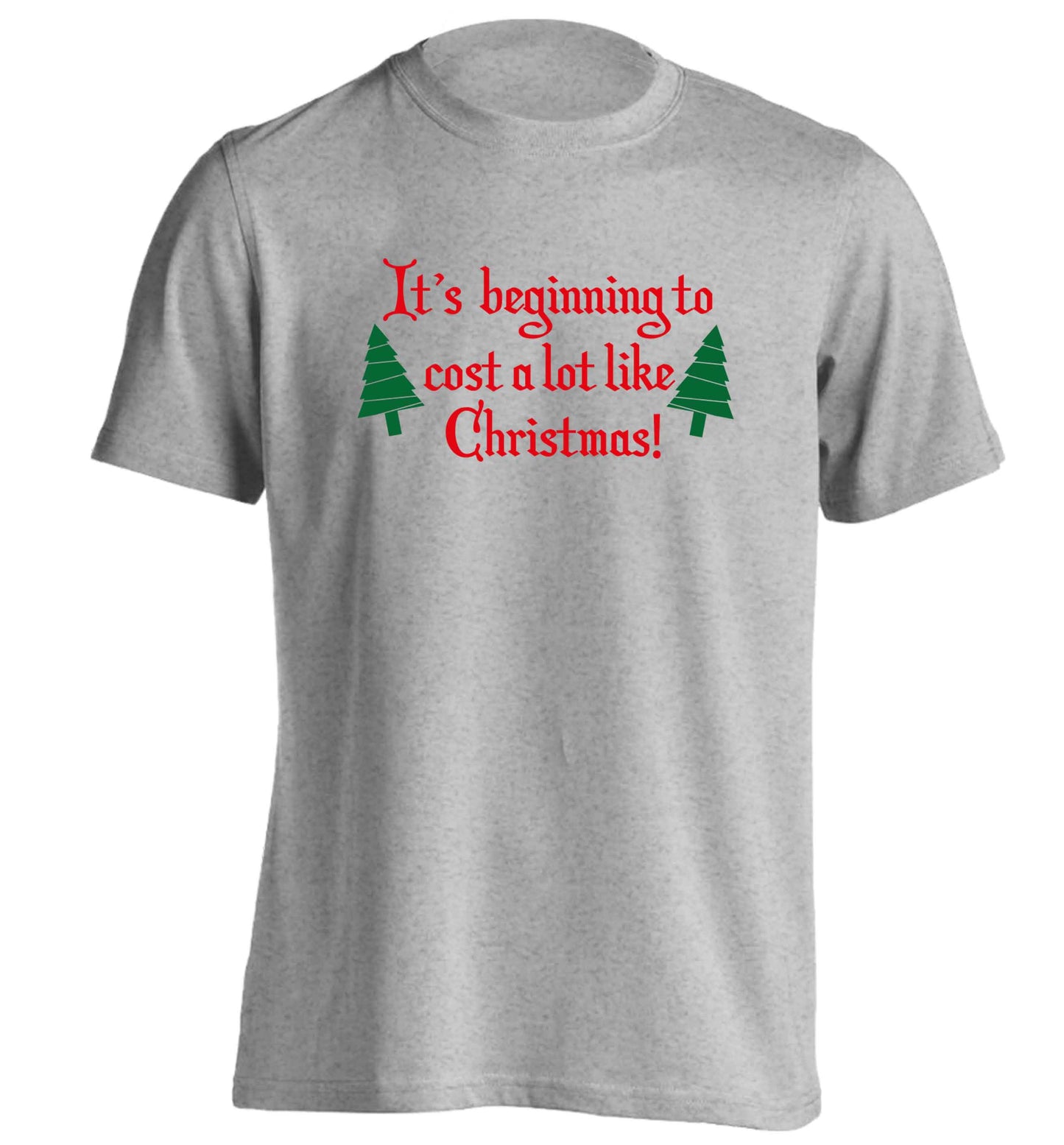 It's beginning to cost a lot like Christmas adults unisex grey Tshirt 2XL