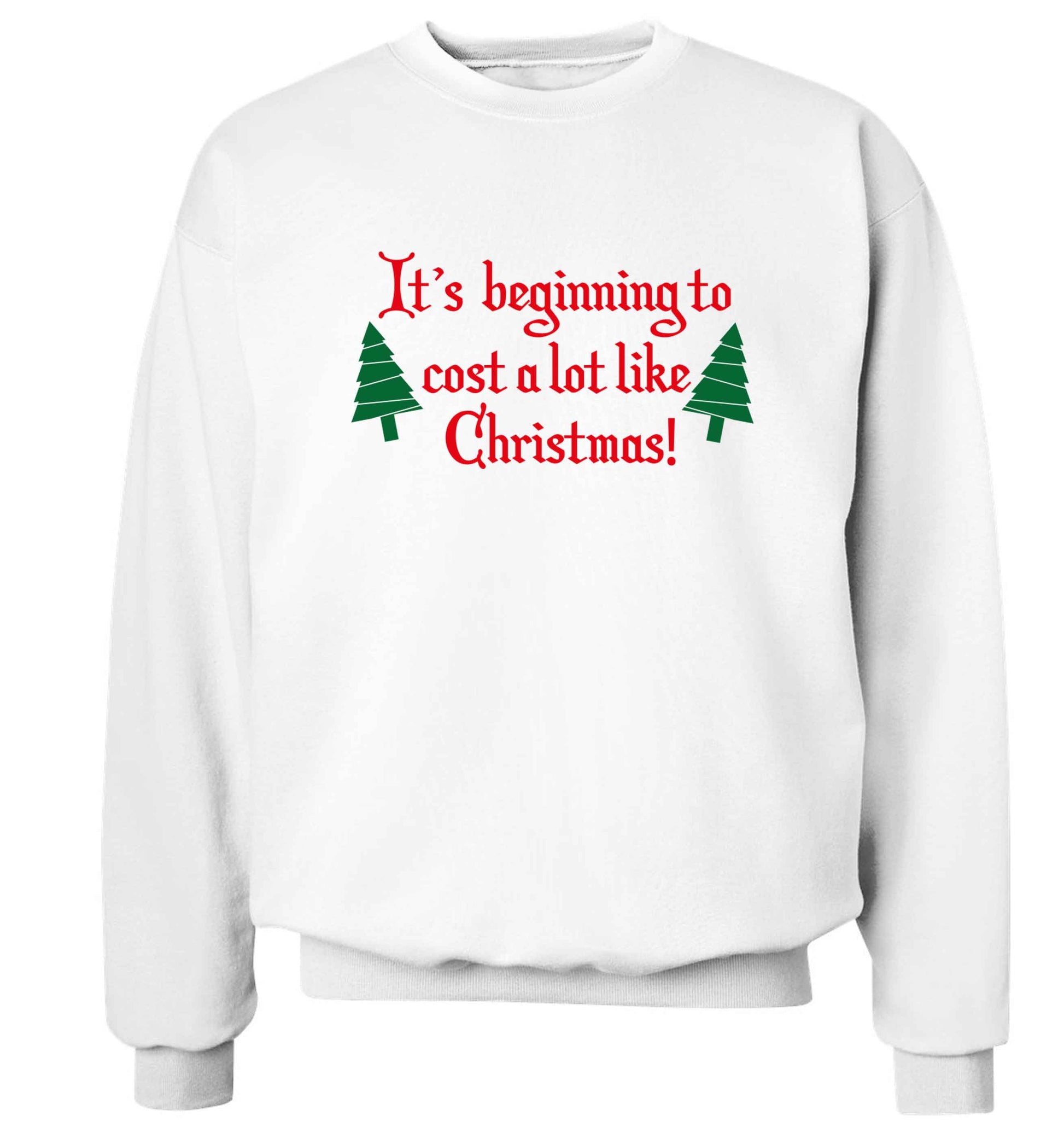 It's beginning to cost a lot like Christmas Adult's unisex white Sweater 2XL