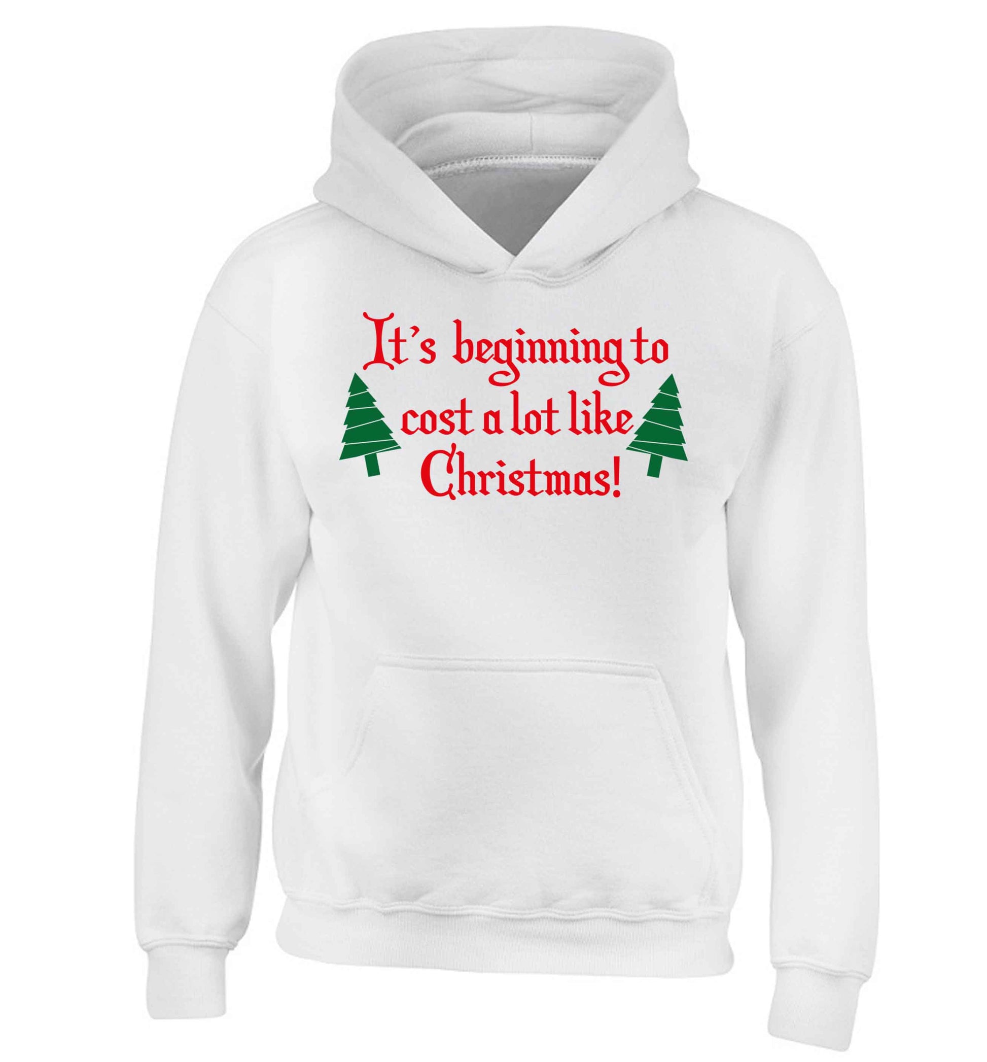 It's beginning to cost a lot like Christmas children's white hoodie 12-13 Years