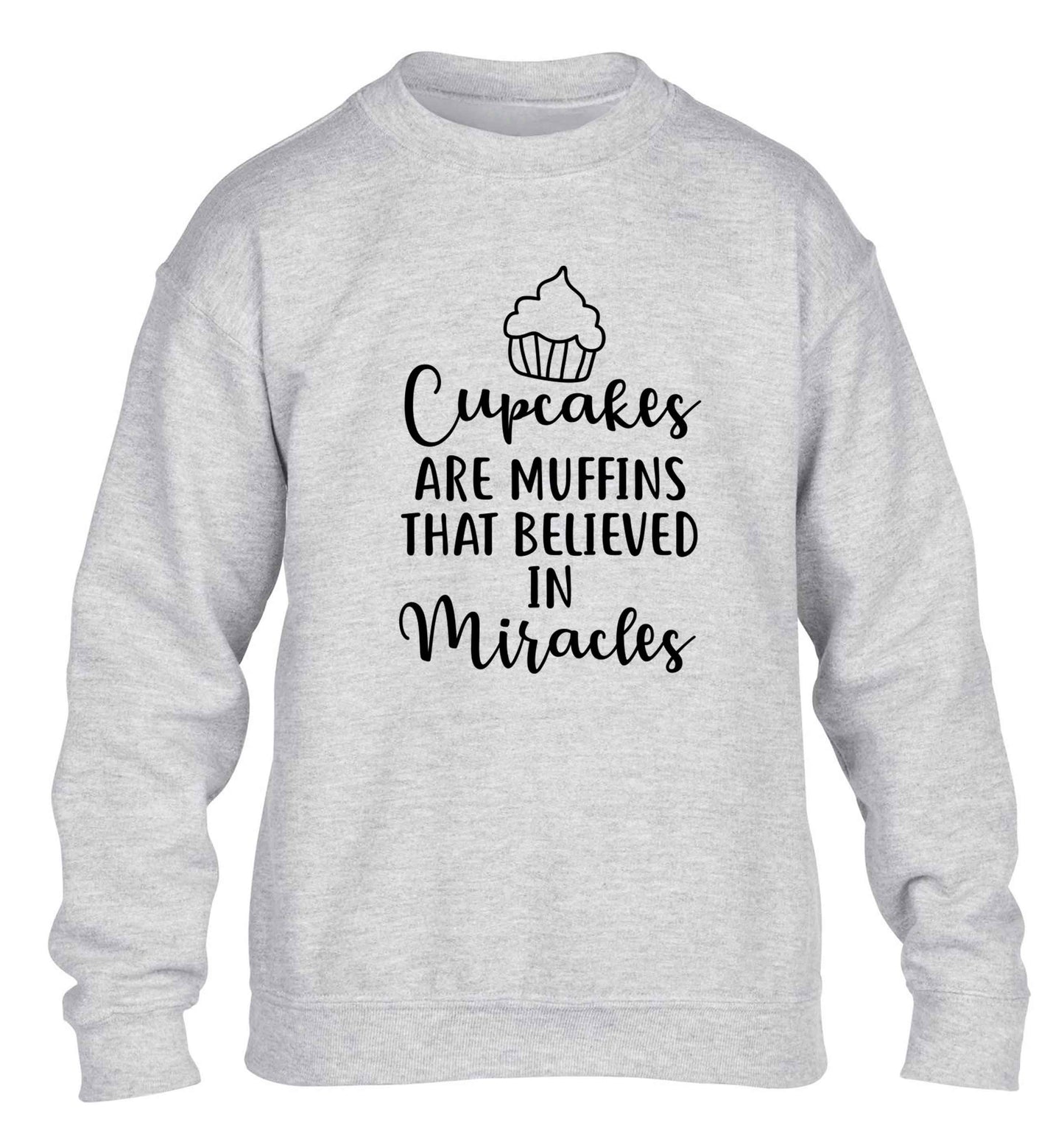 Cupcakes muffins that believed in miracles children's grey sweater 12-13 Years