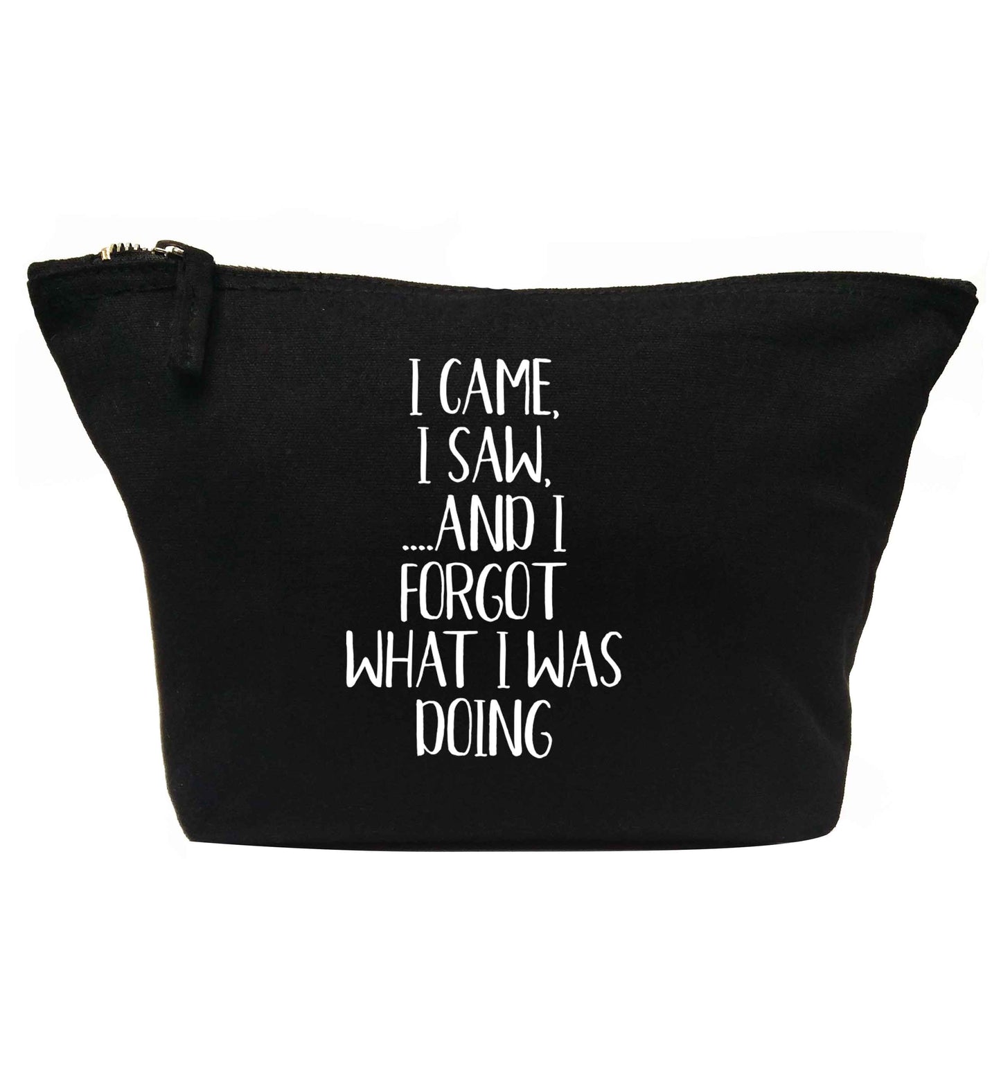 I came, I saw and I forgot what I was doing | makeup / wash bag