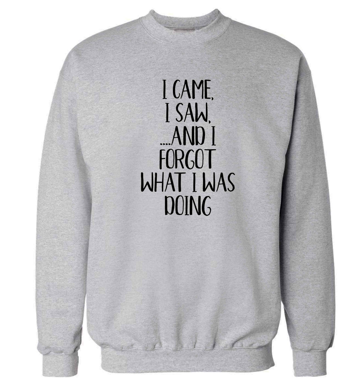 I came, I saw and I forgot what I was doing Adult's unisex grey Sweater 2XL