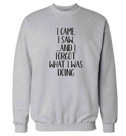 I came, I saw and I forgot what I was doing Adult's unisex grey Sweater 2XL