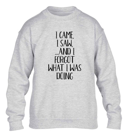 I came, I saw and I forgot what I was doing children's grey sweater 12-13 Years