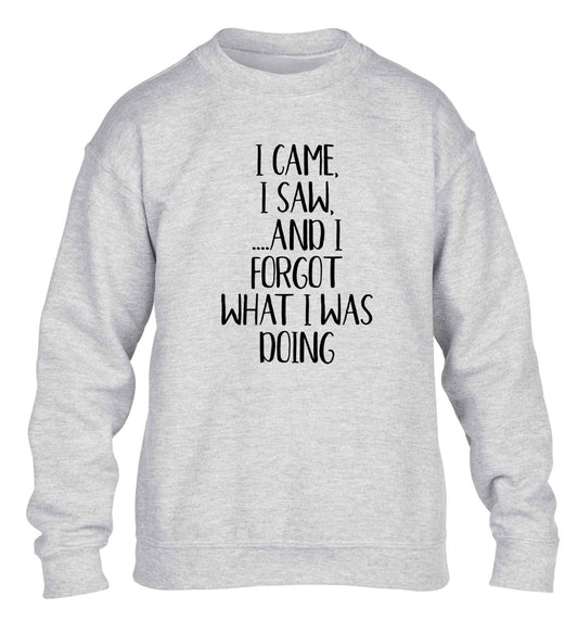 I came, I saw and I forgot what I was doing children's grey sweater 12-13 Years