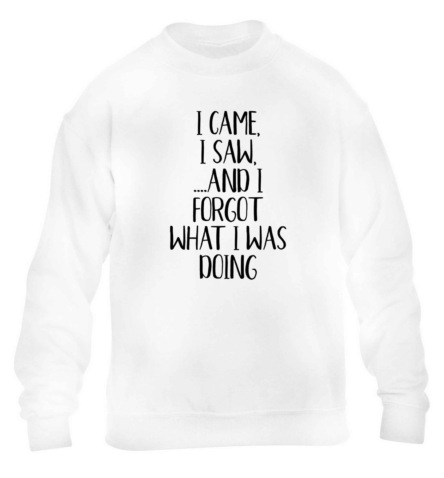 I came, I saw and I forgot what I was doing children's white sweater 12-13 Years