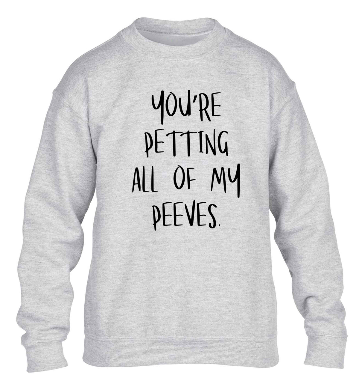 You're petting all of my peeves children's grey sweater 12-13 Years