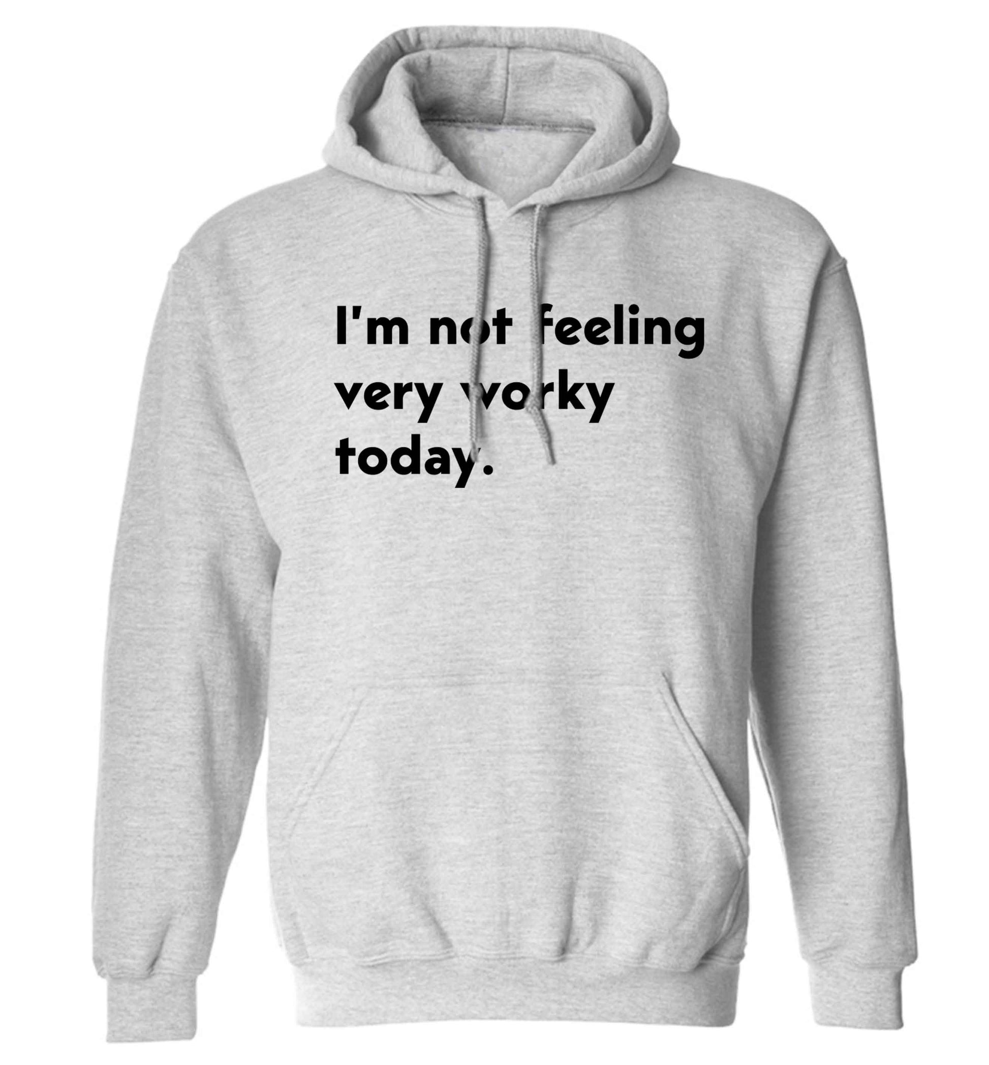 I'm not feeling very worky today adults unisex grey hoodie 2XL