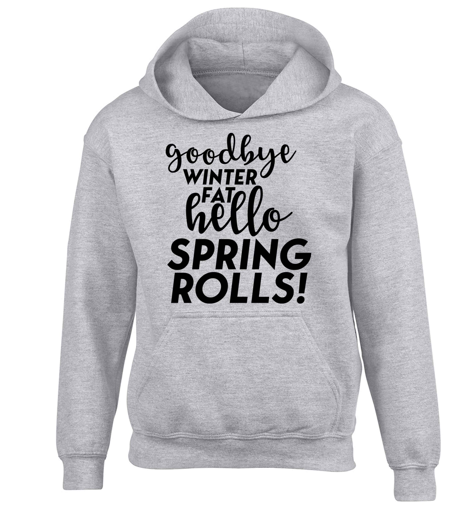 Goodbye winter fat hello spring rolls children's grey hoodie 12-13 Years