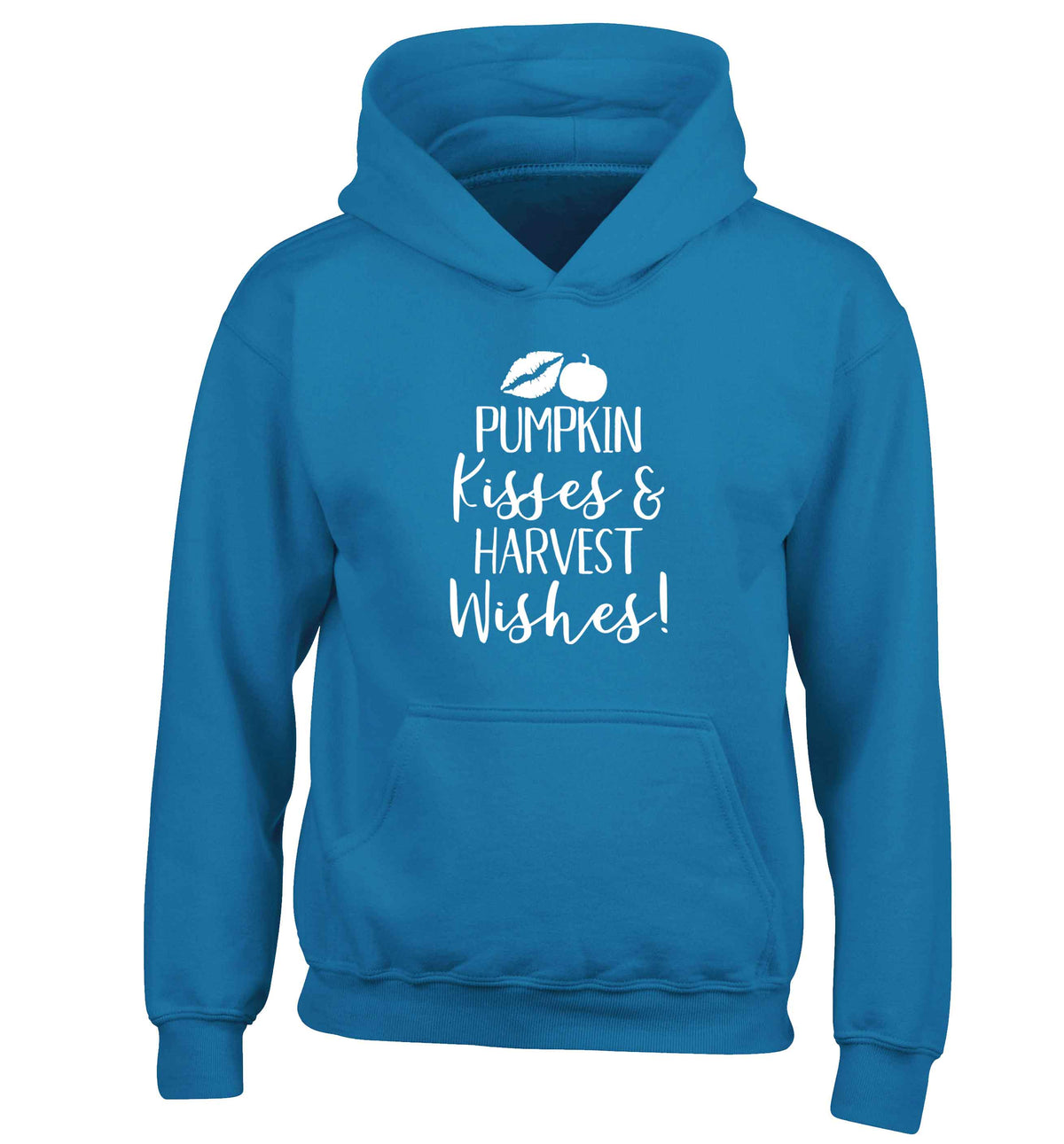 Pumpkin Kisses Harvest children's blue hoodie 12-13 Years