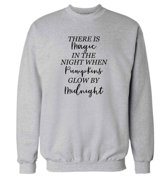 Magic in Night adult's unisex grey sweater 2XL