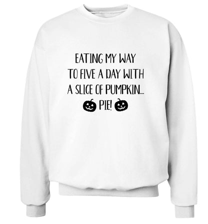 Magic in Night adult's unisex white sweater 2XL